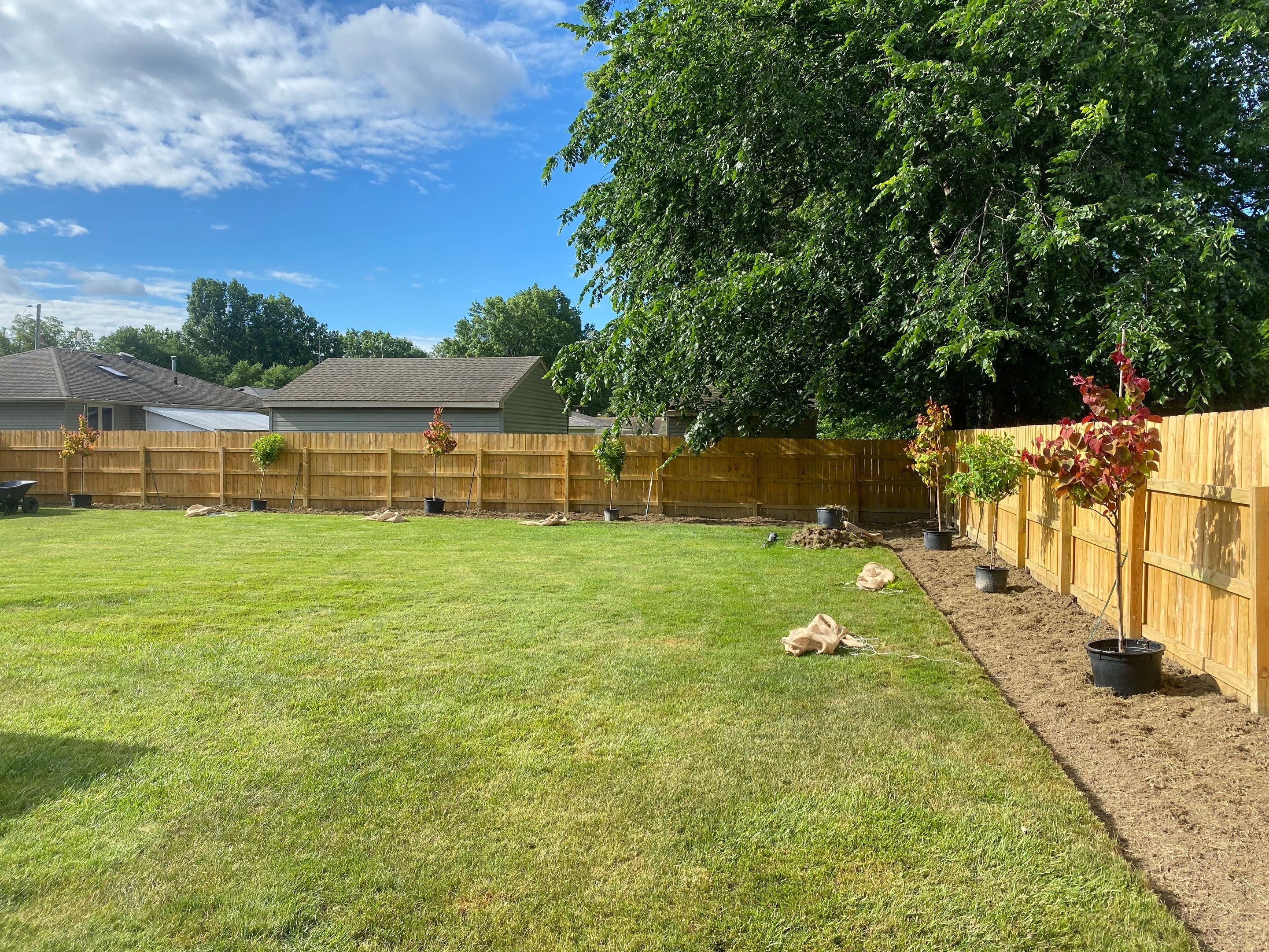 Redbud Fence Project  by Elm Rose Gardens