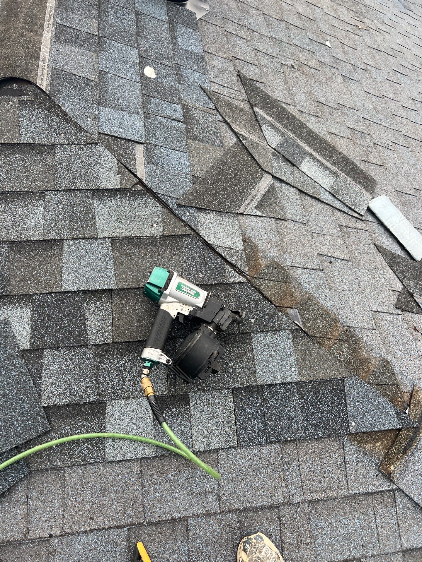 Let My Attic Breathe!!!!! by Bayfront Roofing and Construction