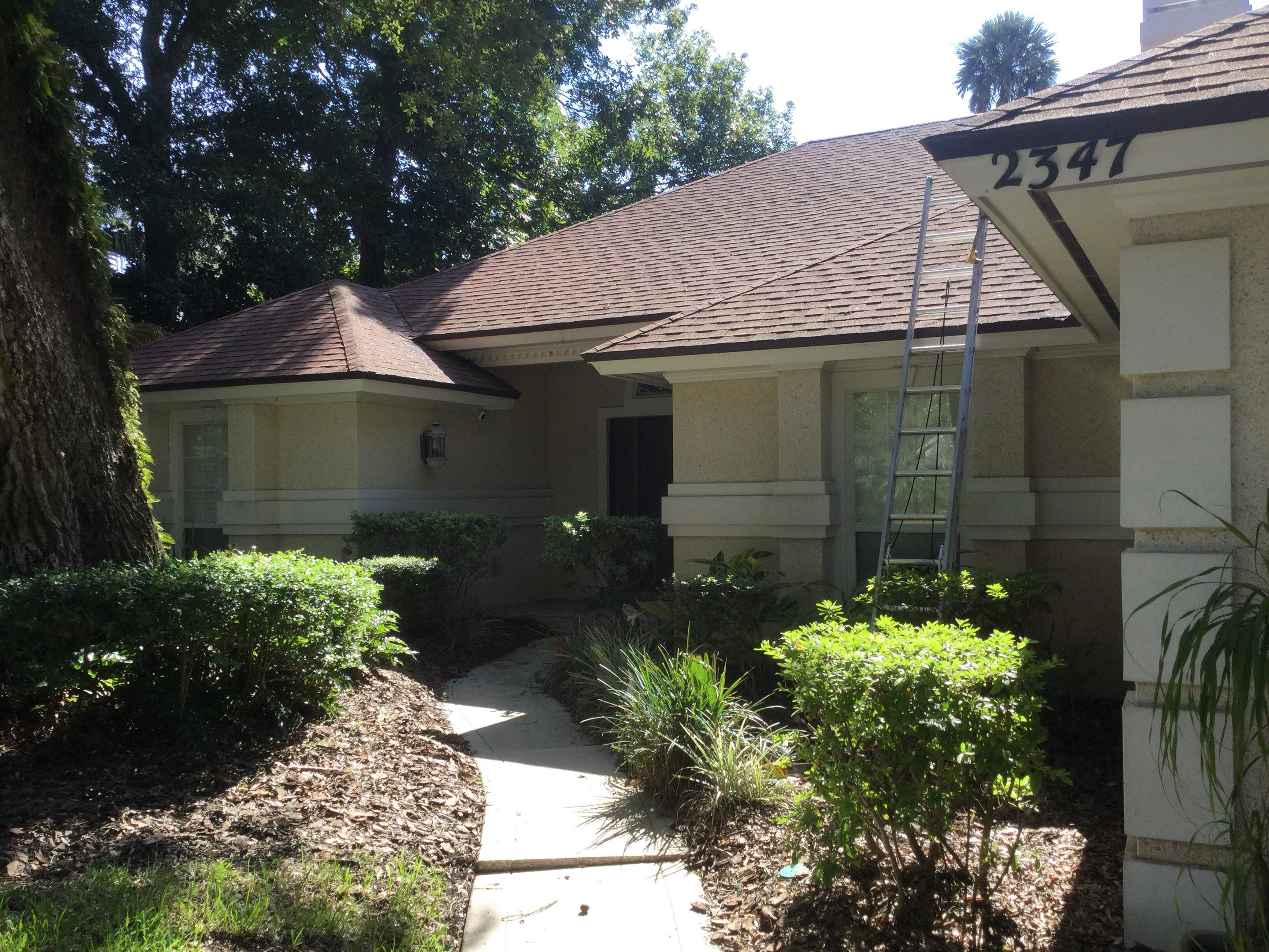 Shingle -> Shingle by Prime Roofing