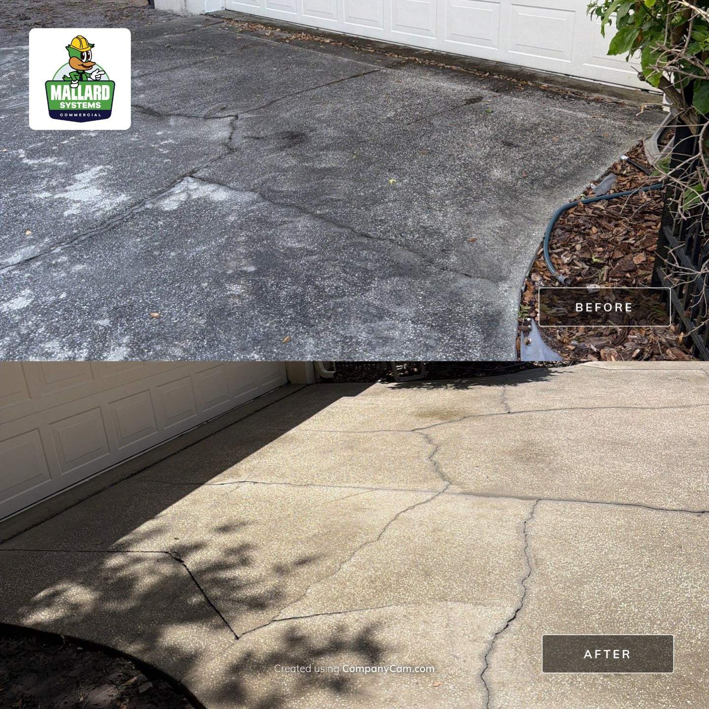Roof, Exterior, Gutter Clean Out, Pool Deck, and Driveway Cleaning by Mallard Systems