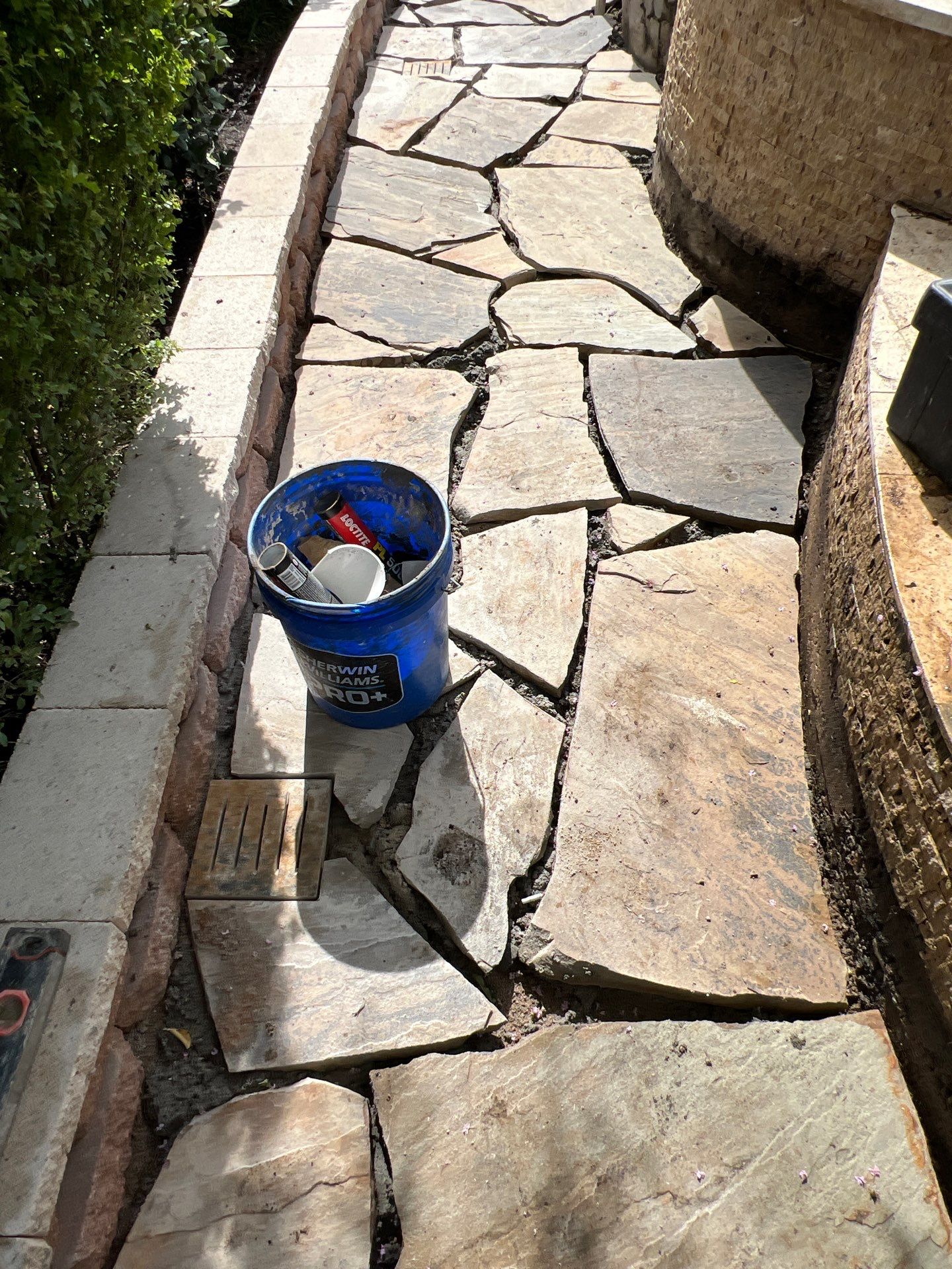 🌿 Pamela’s Backyard Makeover by Texas Urban Elements