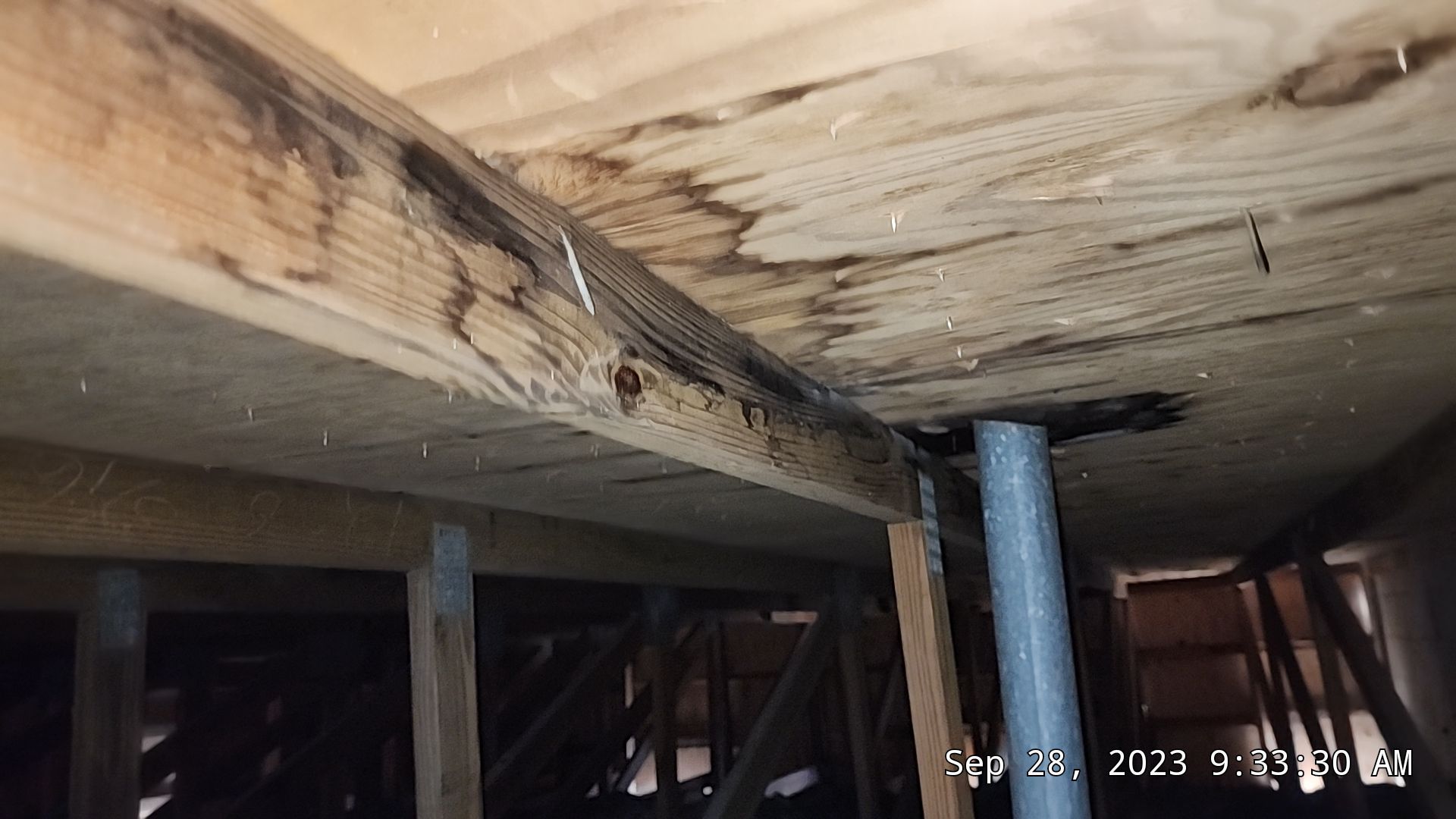 Commercial Roof Repair using Roof Decking- 5/8" Plywood by Aastro Roofing