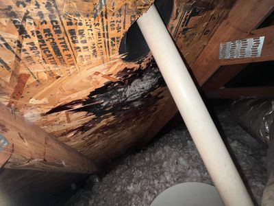 Residential Roofing Repair using Owen's Corning Duration (Lifetime) Shingles