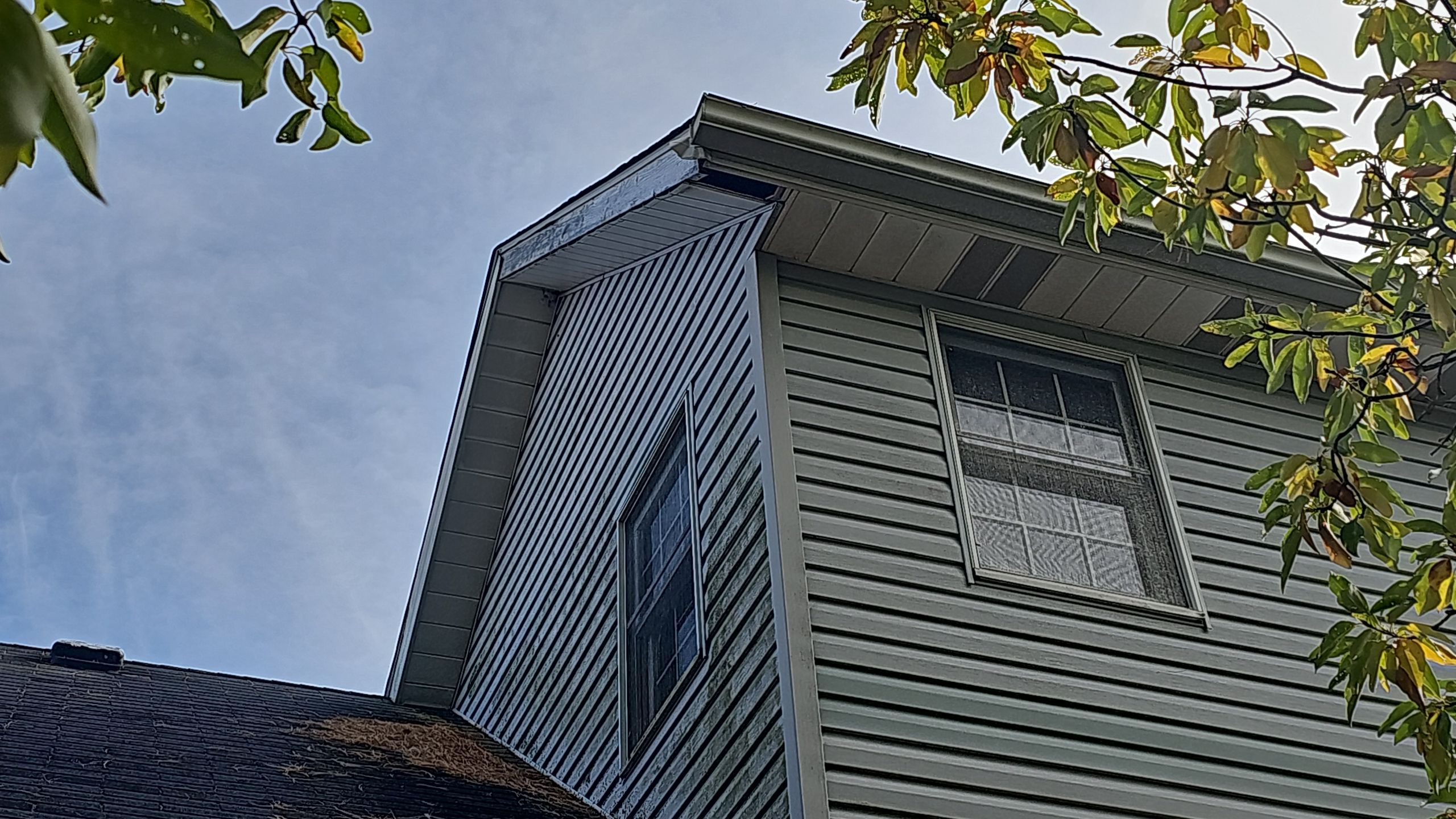 Atlas Pinnacle Pristine, Color: Black Shadow, Drip Edge, Color: Black by Eagle Eye Roofing