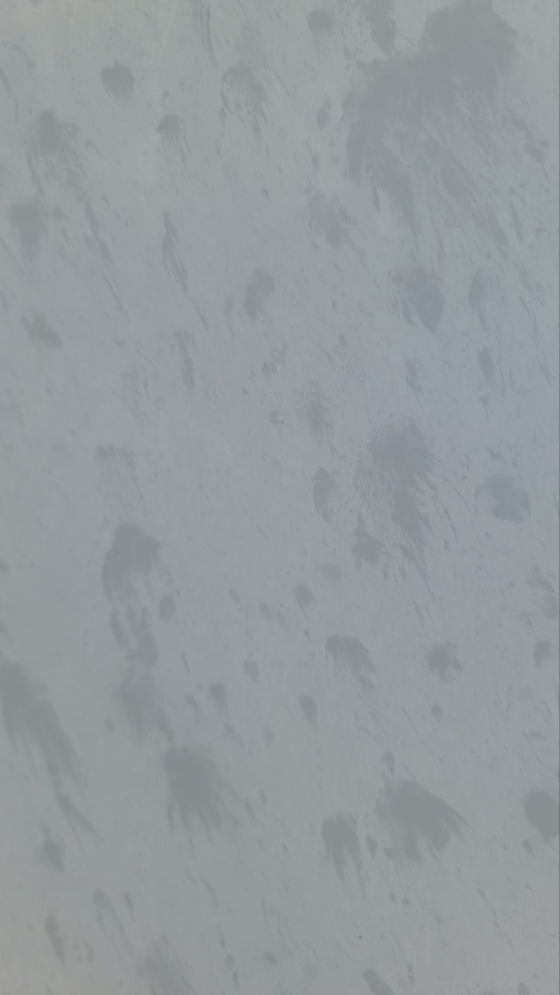 Commercial Roof Replacement – PBR Metal Panels After Hail Damage by ASAP Roofing & Exteriors