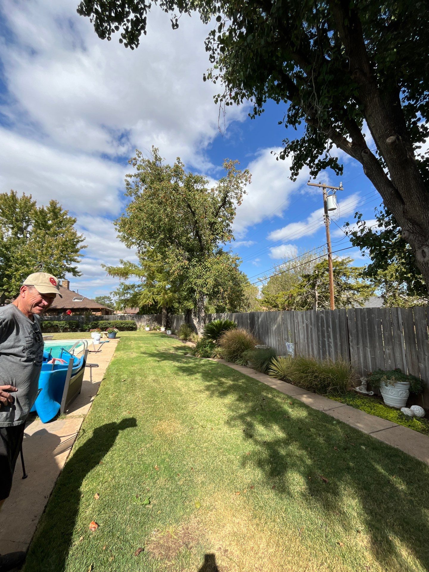 Tree Removal using Chainsaws by Clays Services Inc