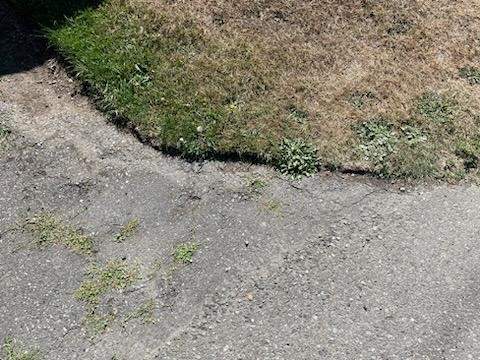 Ralph | Asphalt Patch Repair  by Jireh Asphalt & Concrete Inc 