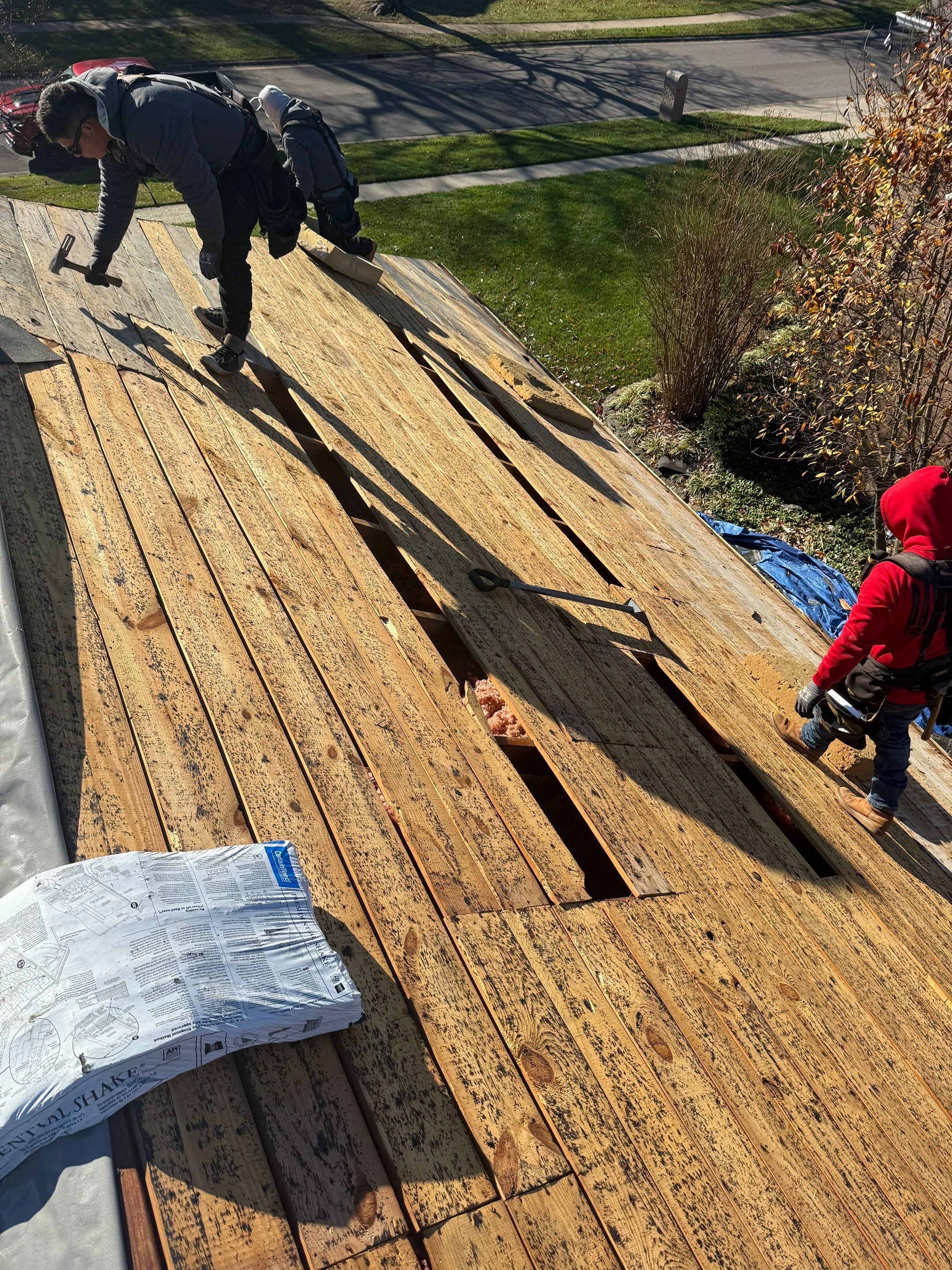 Project in Louisville, KY by GreenForce Restoration