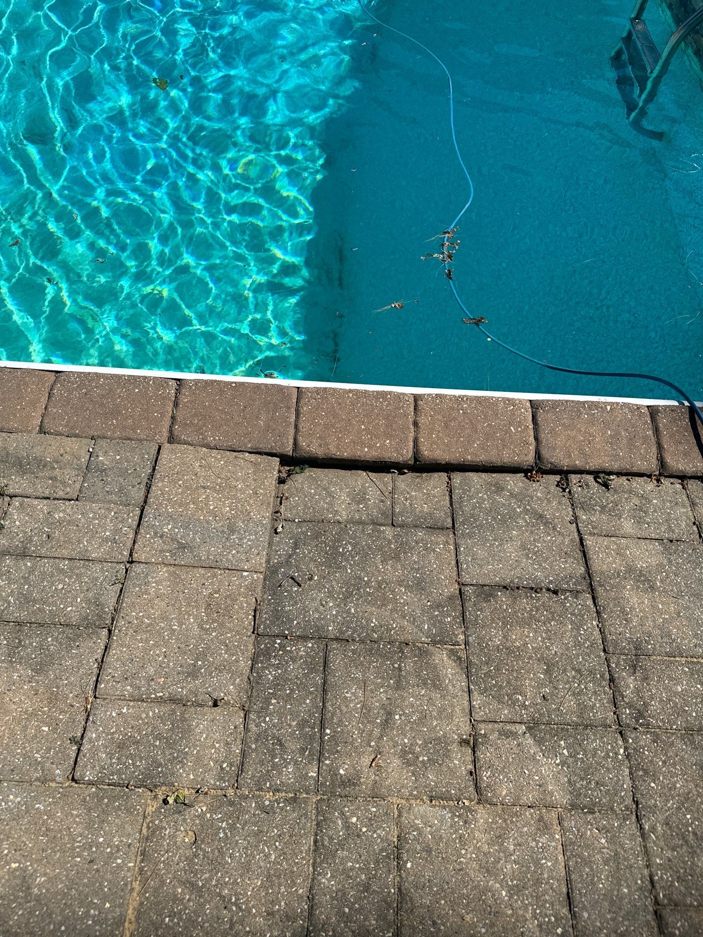 Shoreline Garage Project in Wexford by Floors in a Day, Inc