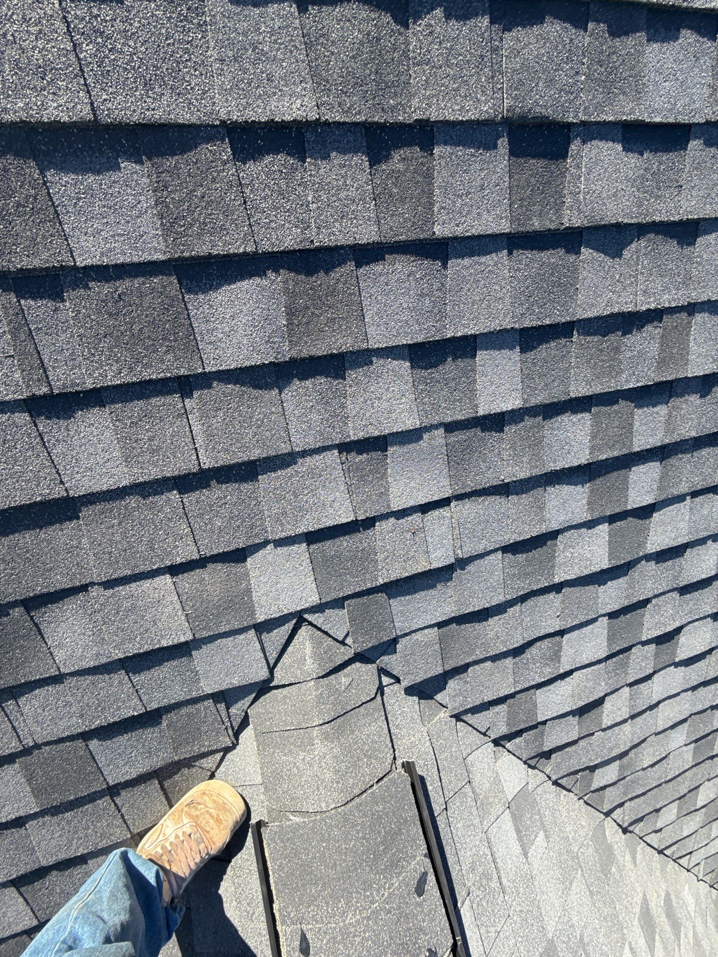 Springfield: Residential Roof Replacement with CertainTeed Landmark Pro in Max Def Moire Black by RM Banning, Inc.