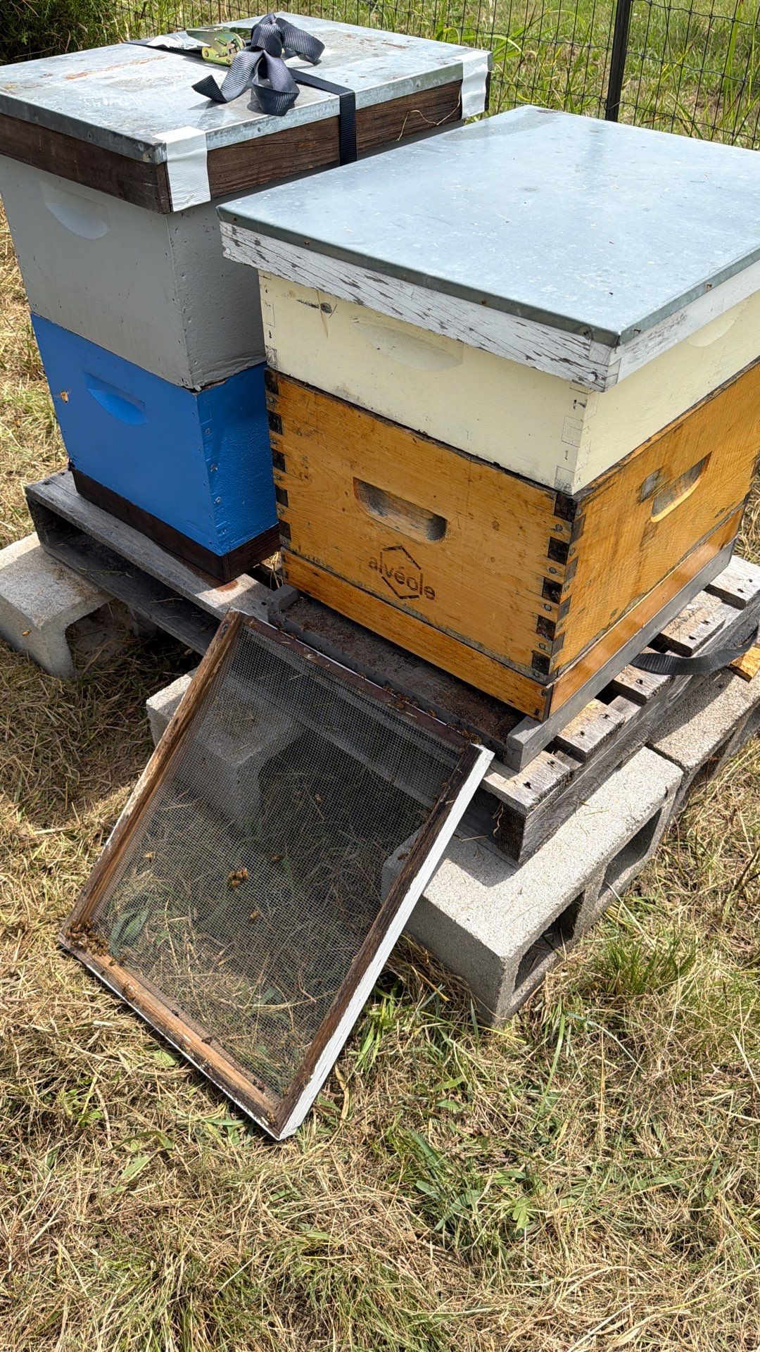 Porter & Pony Apiary by Rockwall Honey Bee Company