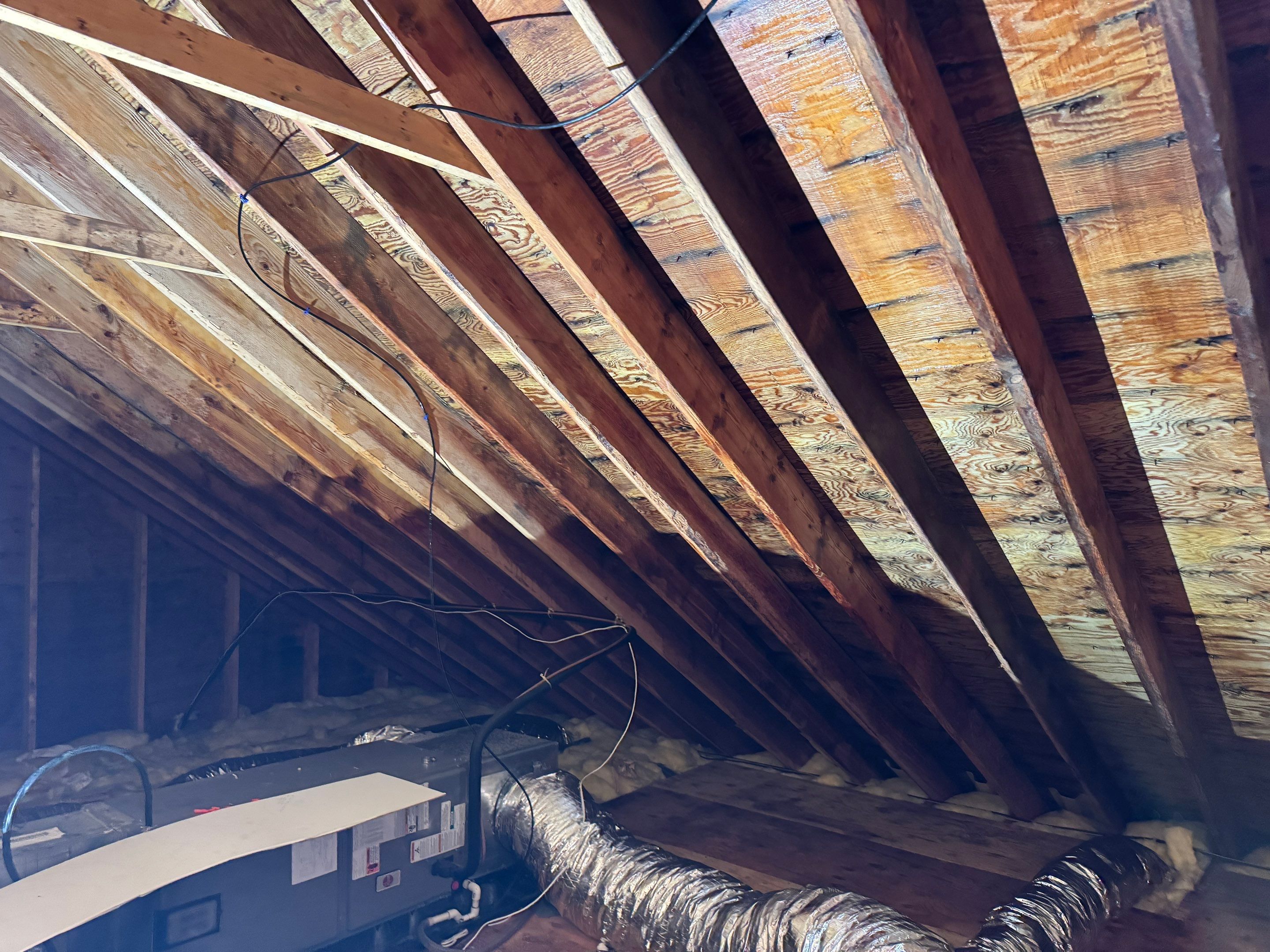 Attic Mold Remediation using Home Guarantee by Home Guarantee, LLC