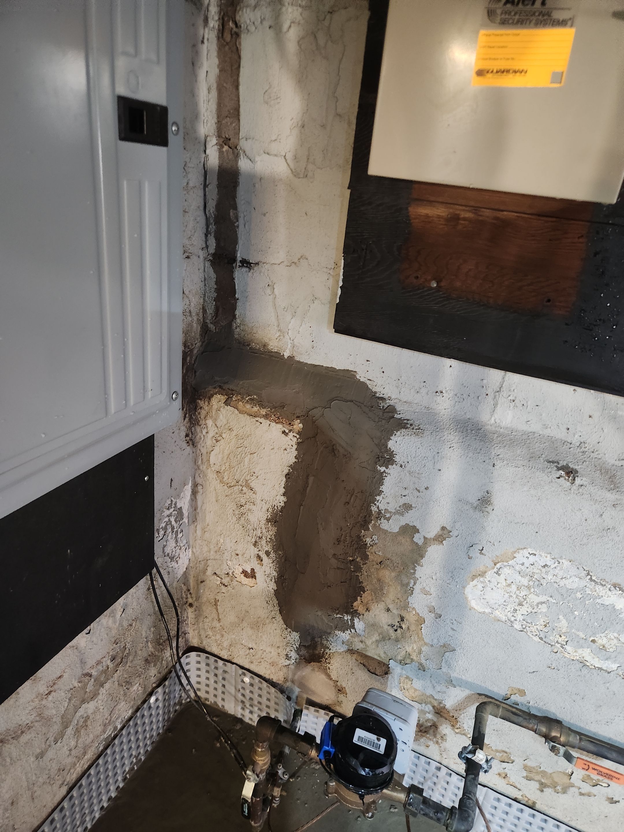 Interior French Drain &. Mold Remediation Dunnellen NJ  by Pure Service Pro, LLC 
