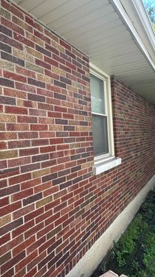 Turtle Shell gutter protection installation in Villa Park, IL 60181, photograph 23