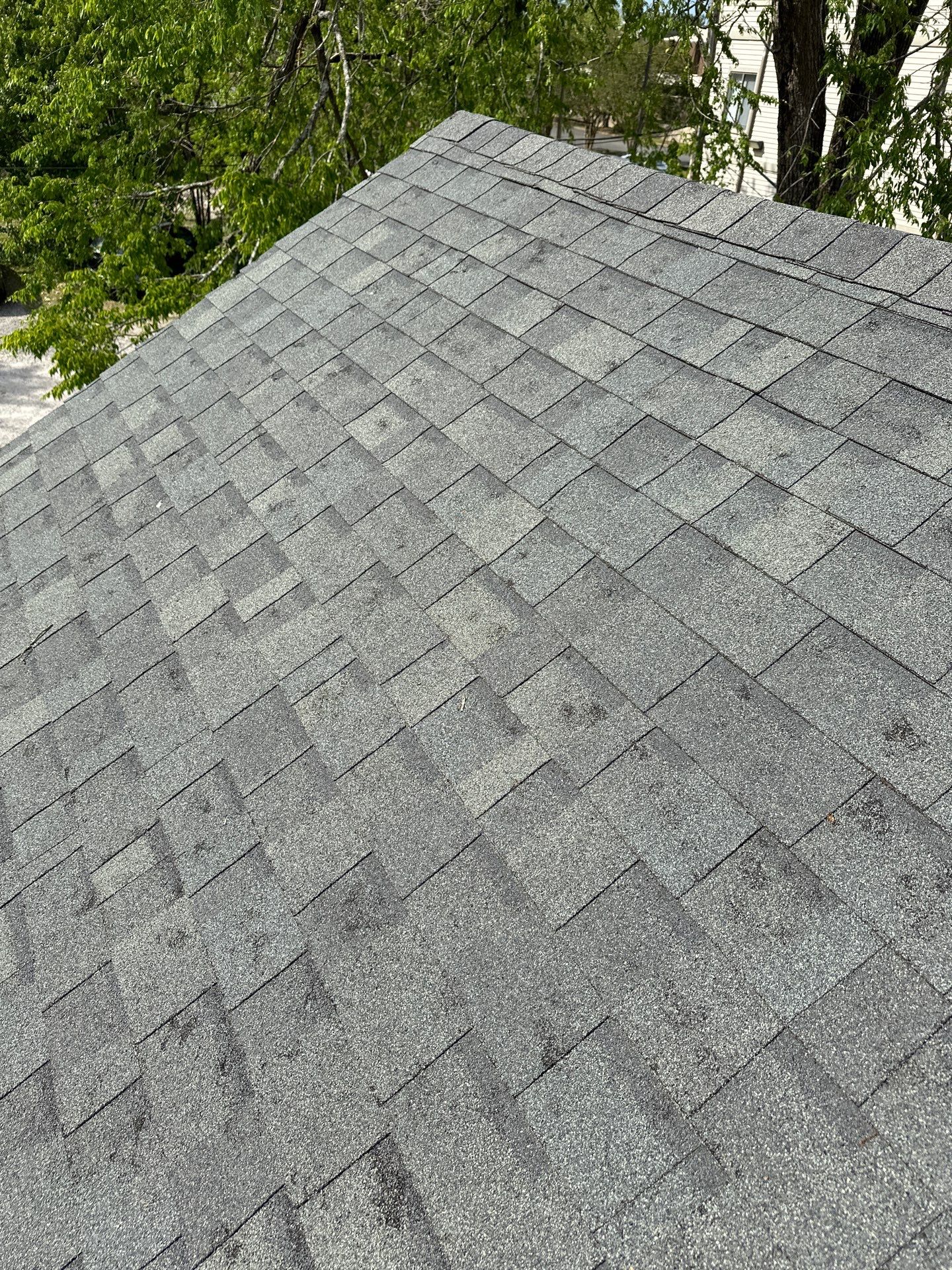 Morabit Office Building by United Contracting and Roofing