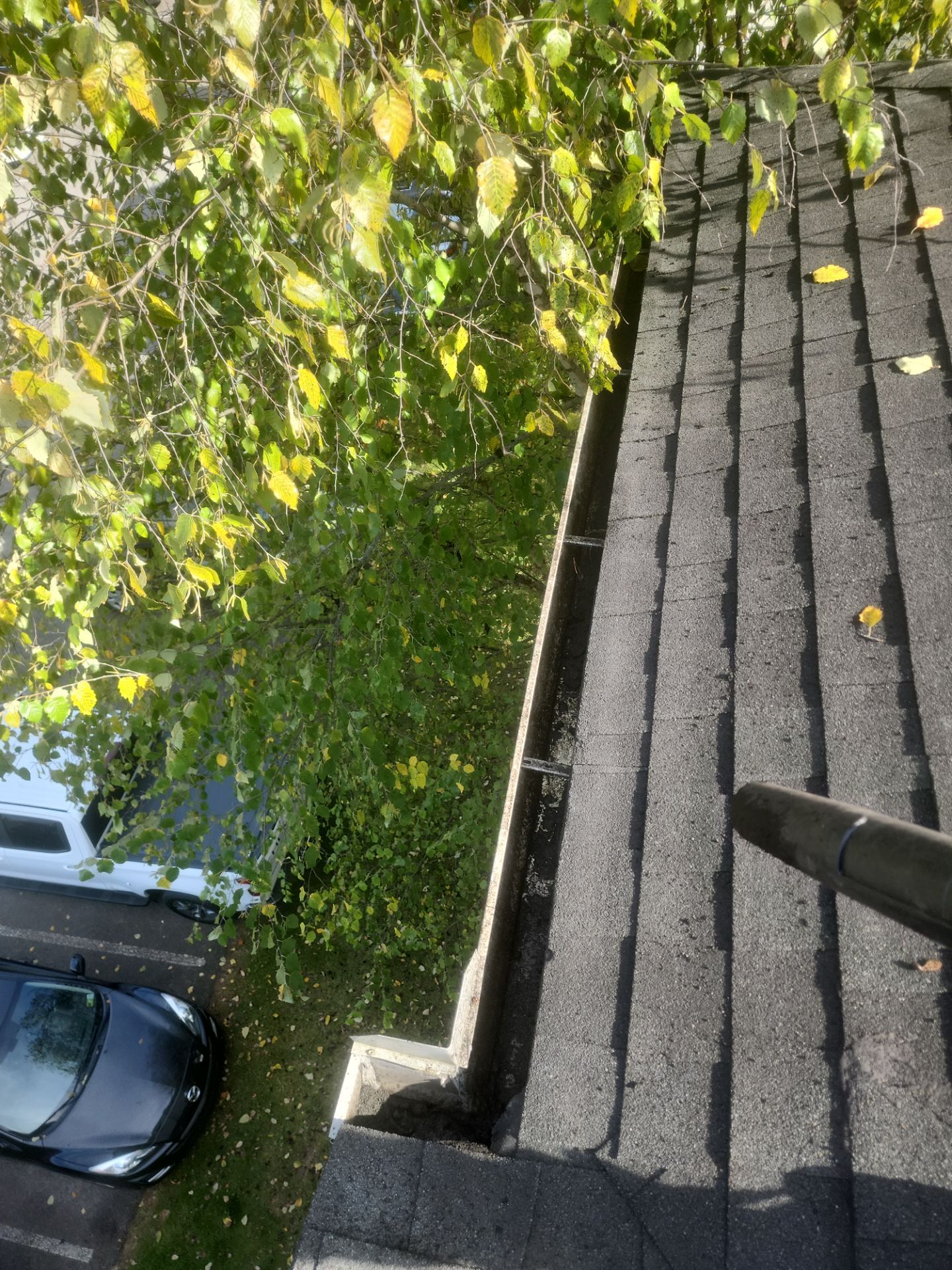 Commercial gutter cleaning Morgantown, WV 
after photo with clean gutters