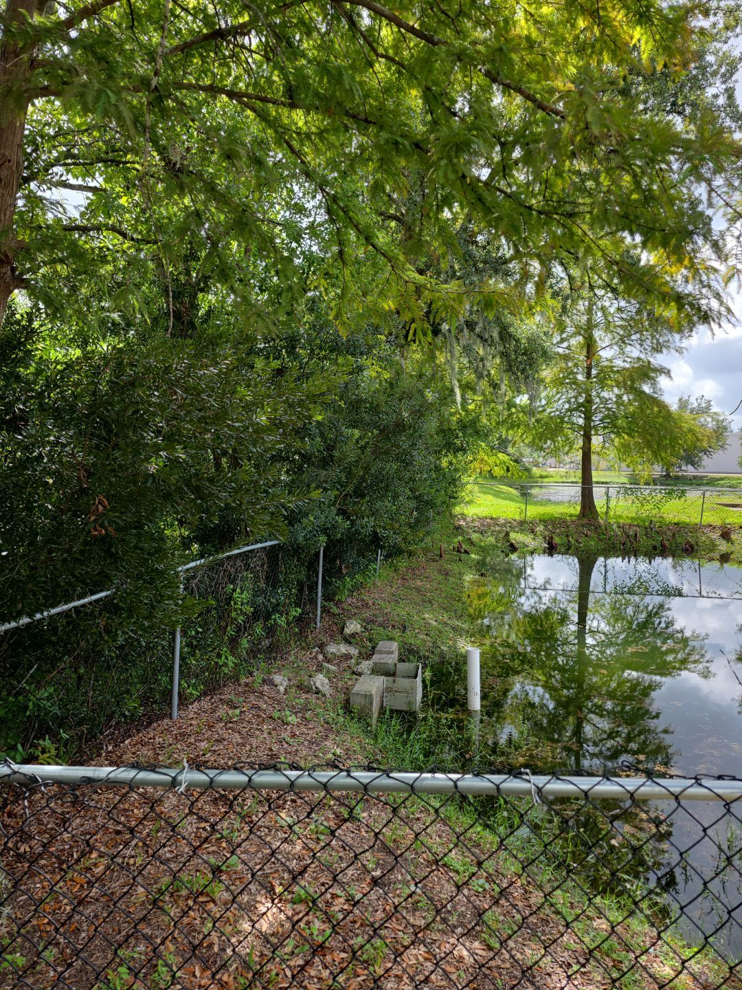 Commercial Property | Tree Removal & Trimming by ProGreen Services