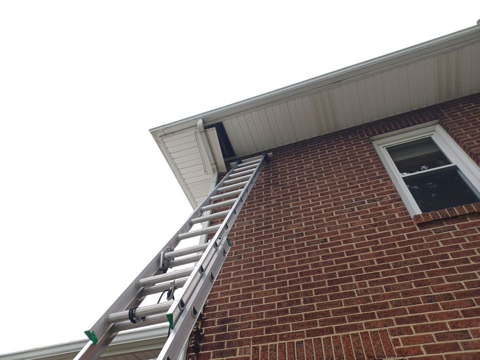Danna Randazzo by Silver Leaf Contracting 