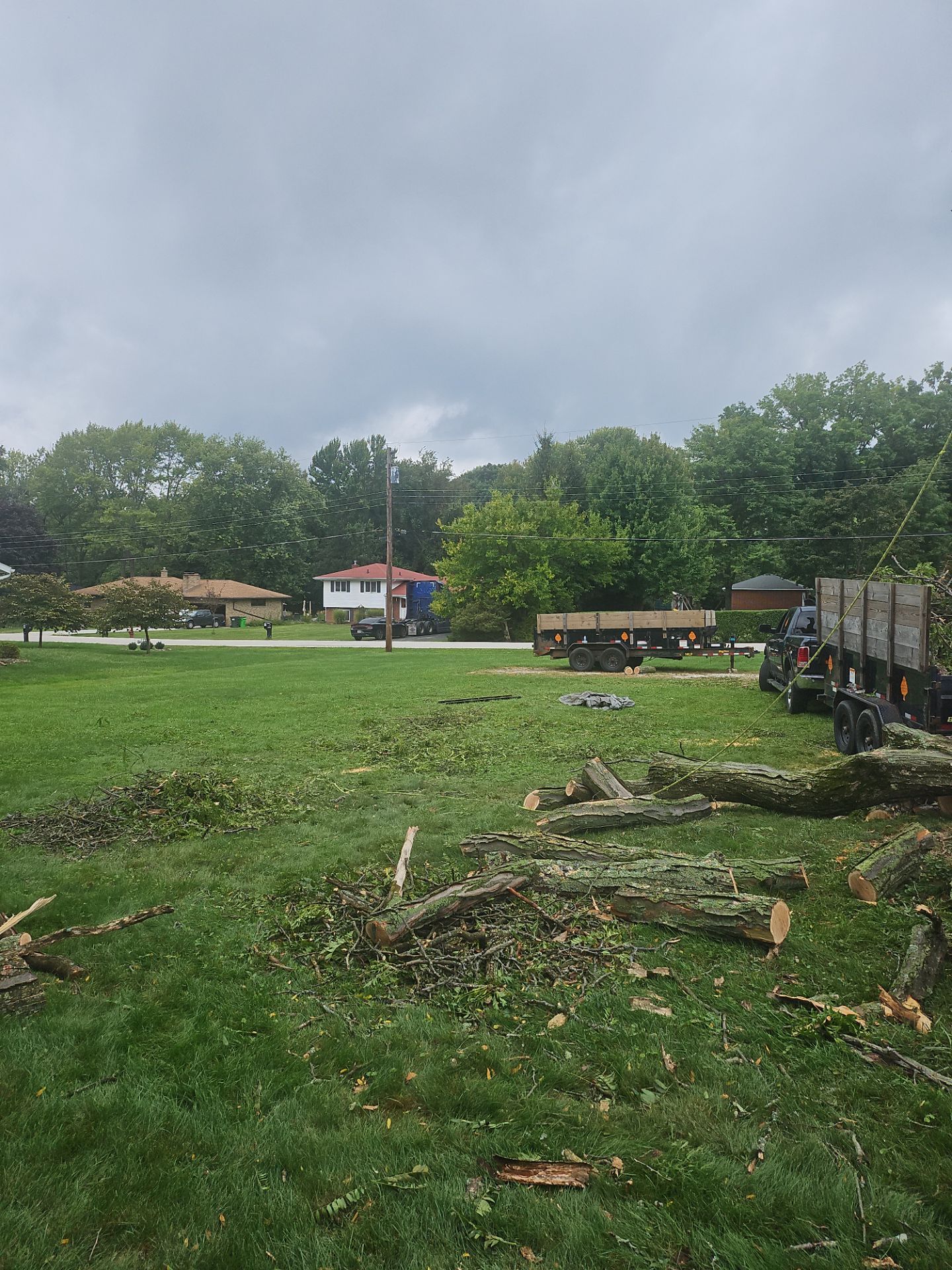 Tree Removal using Tree Removal by Mike Jones & Sons Tree Service LLC 