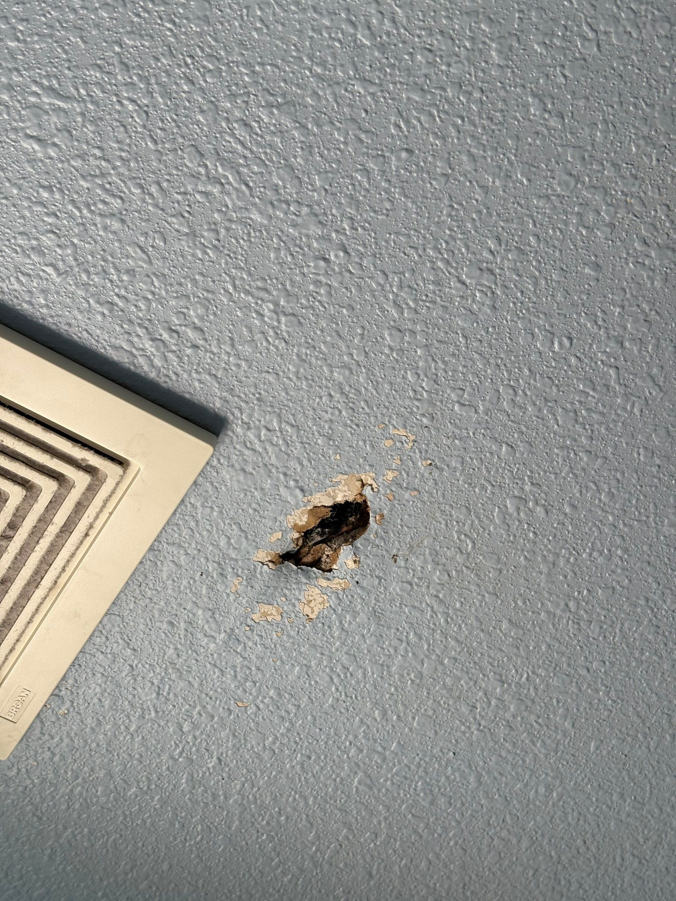 Spanaway WA, GAF Timberline NS, Weatherwood by Proline Roofing & Restoration LLC