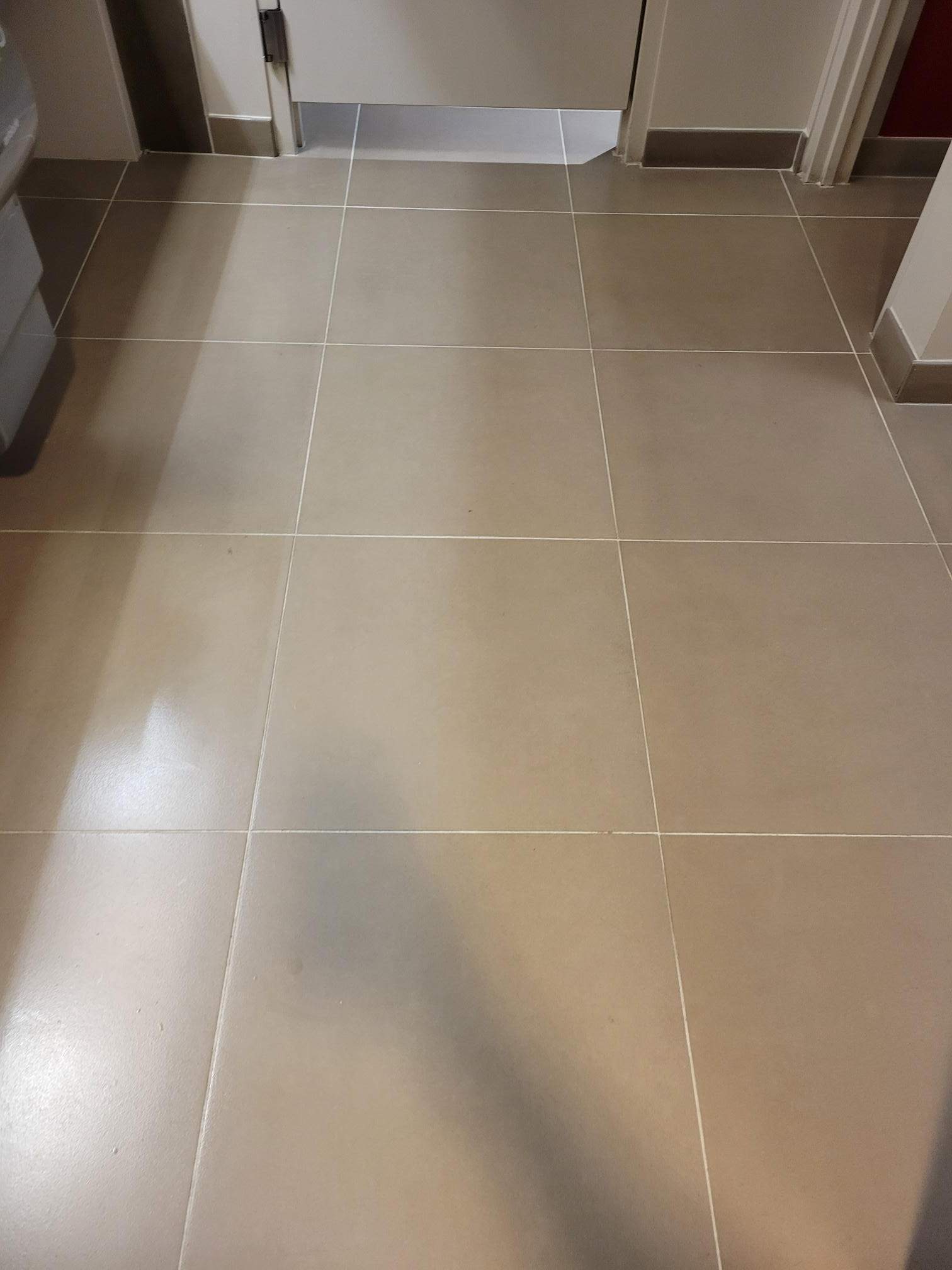 SaniGlaze Removal and reconditioning using CareGuard by Corporate Care