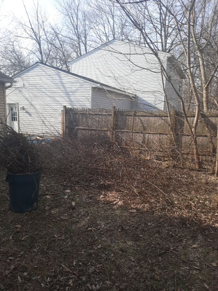 Tree Removal using Tree Removal by Mike Jones & Sons Tree Service LLC 