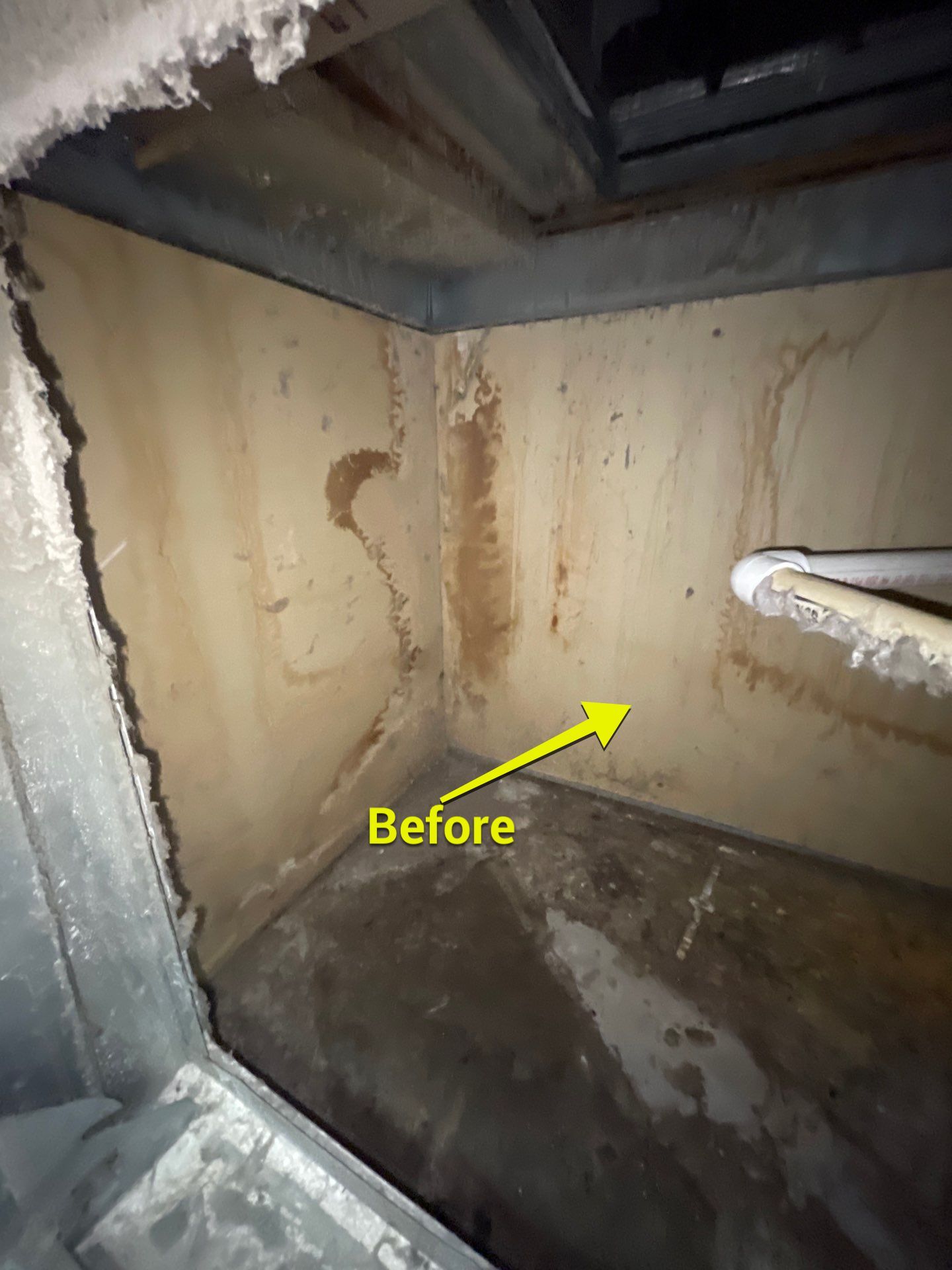 Commercial Air Duct Cleaning in Tavares by Hygienic Air, Inc
