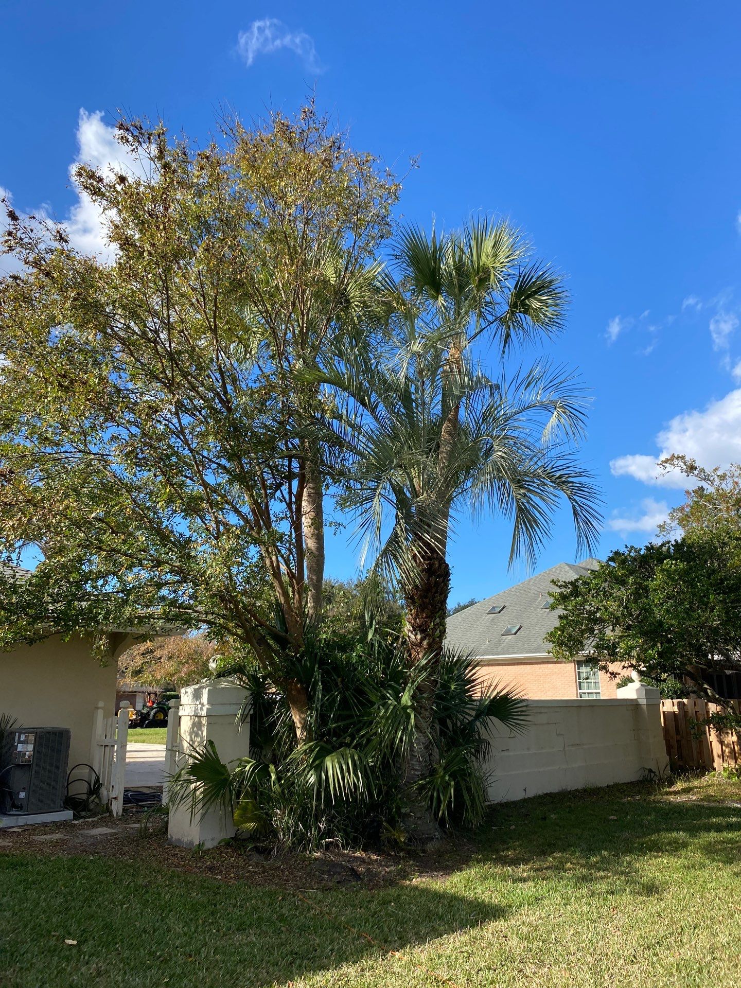 Deerwood Resident | Tree Removal & Palm Trimming by ProGreen Services