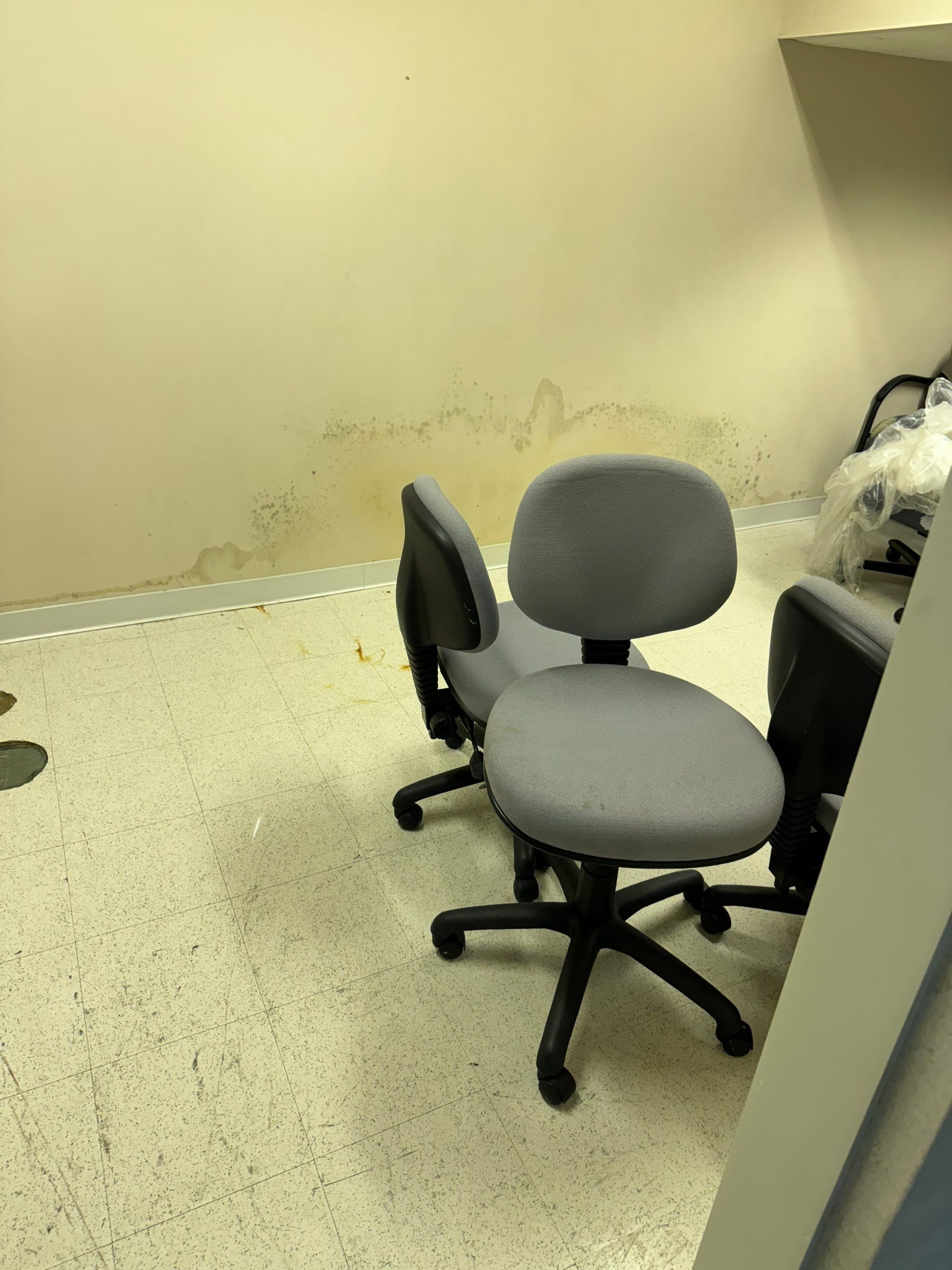 Mold Remediation Fairfield NJ by Pure Service Pro, LLC 