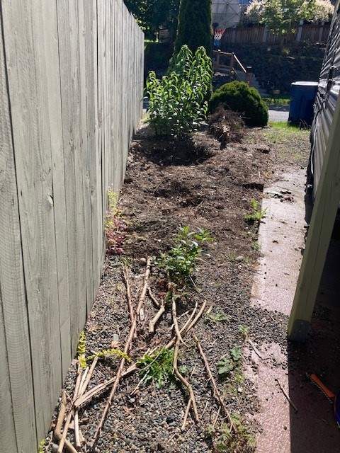 Ashley | Concrete Back Patio by Jireh Asphalt & Concrete Inc 