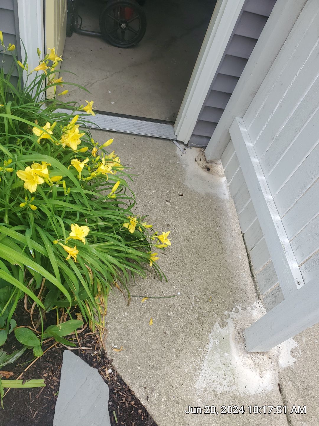concrete cleaning using Algaecide, soft wash soap by Northern Power Washing LLC.