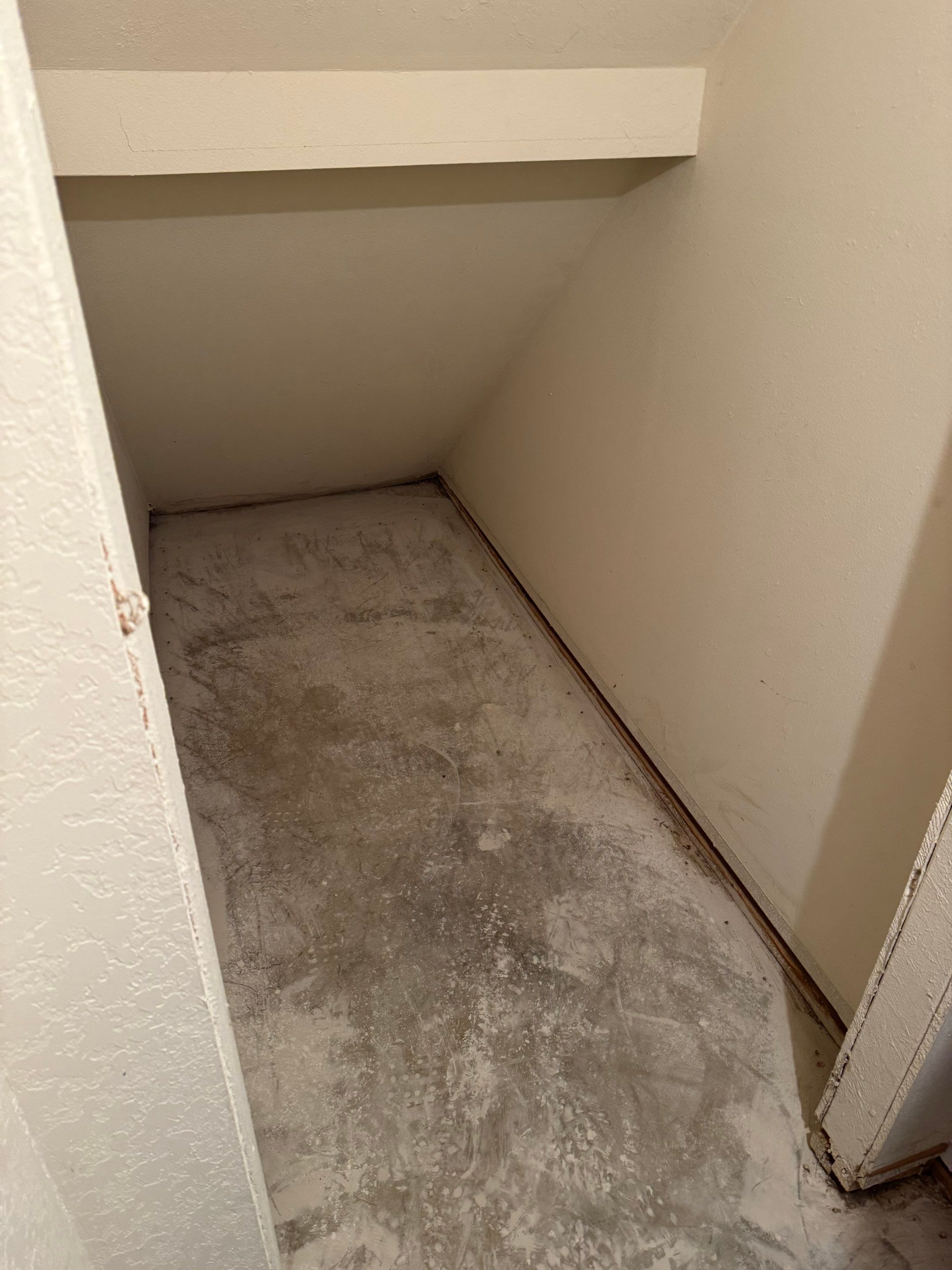Water Damage in Wheat Ridge, CO by Alpha Restoration 