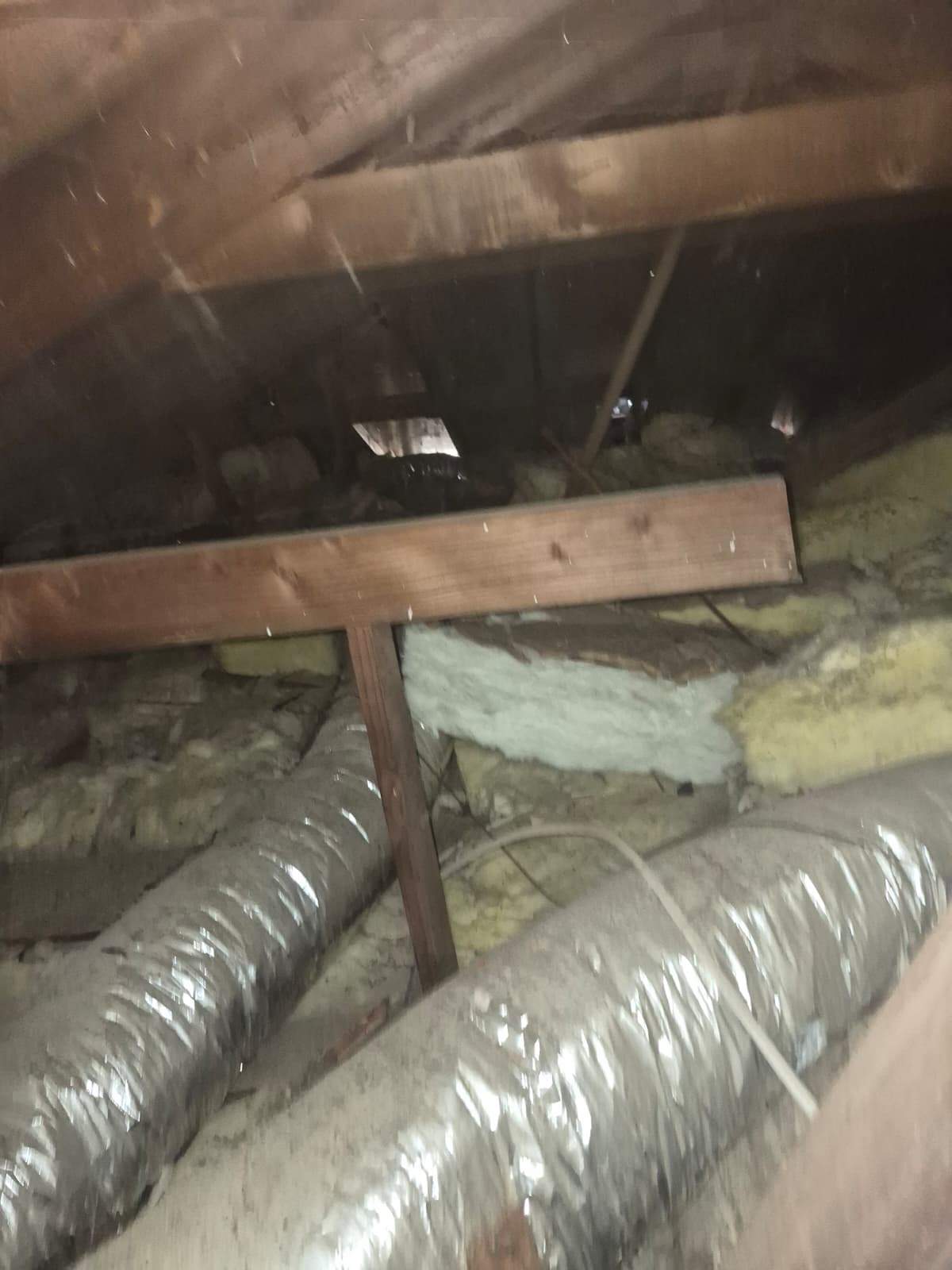 Project in Anaheim by Advanced Attic Solutions