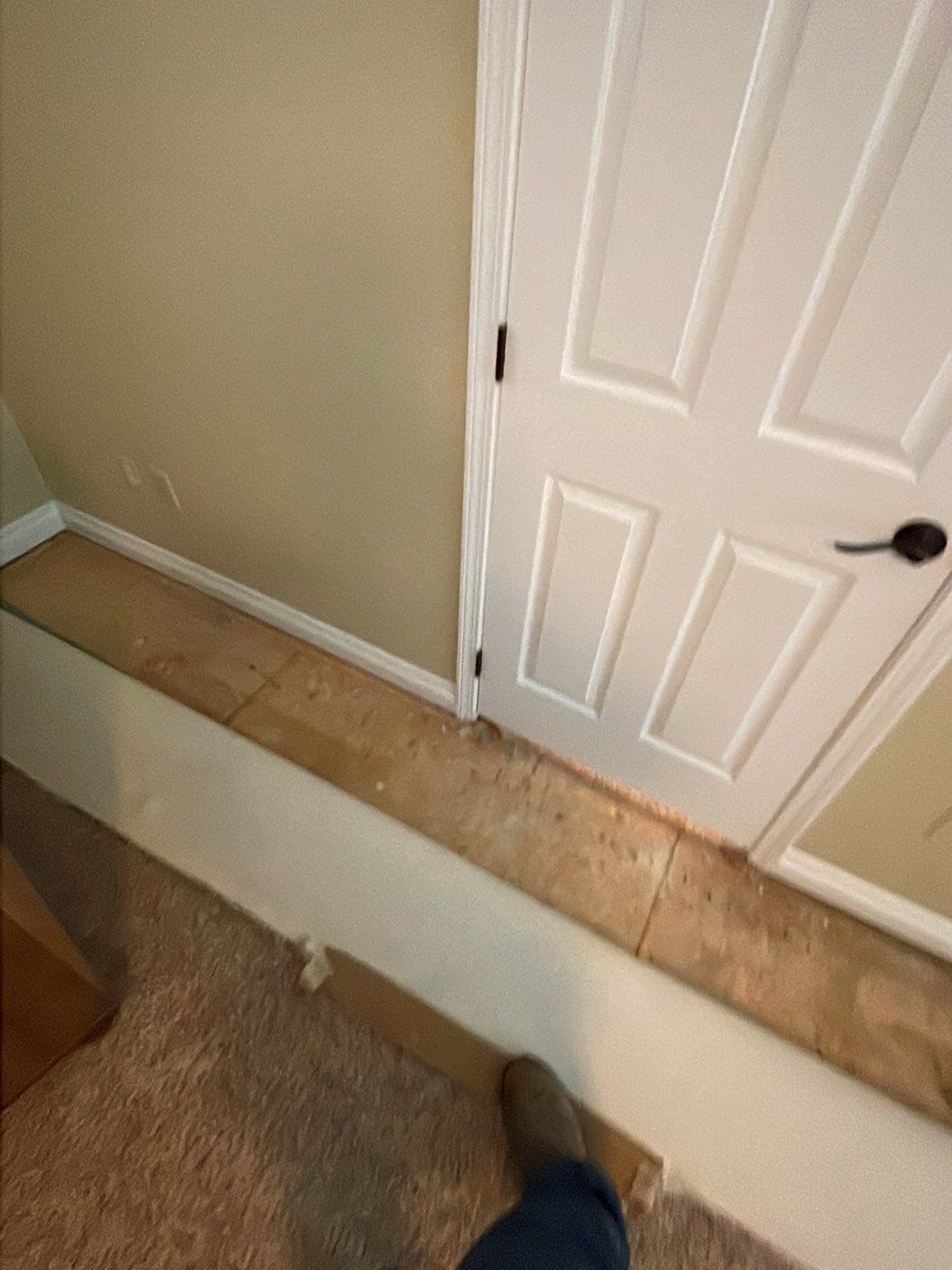 Project in Novi by EzDry Water Mitigation & Property Restoration