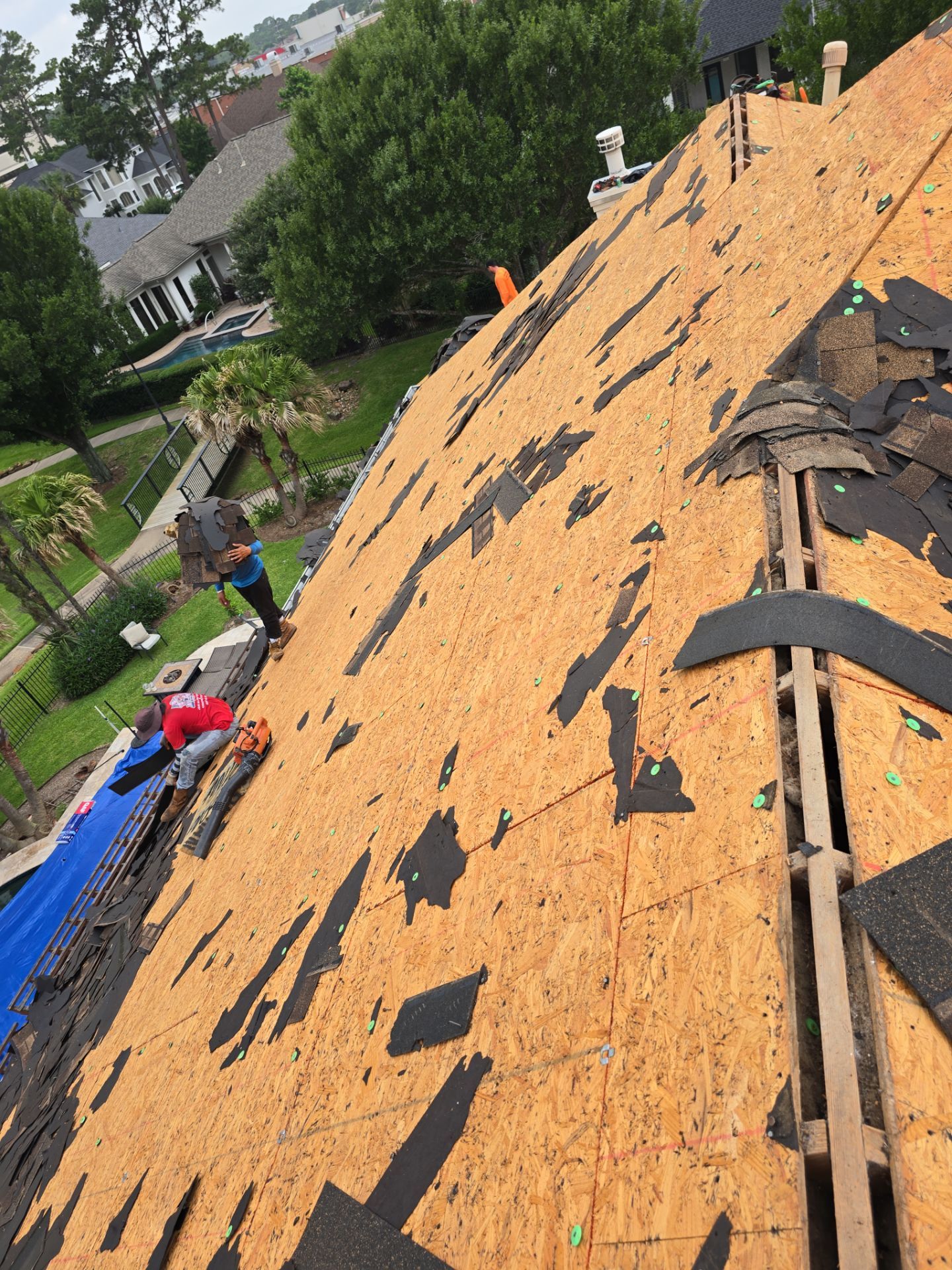 Roof Replacement Spring by Roof Repair Company