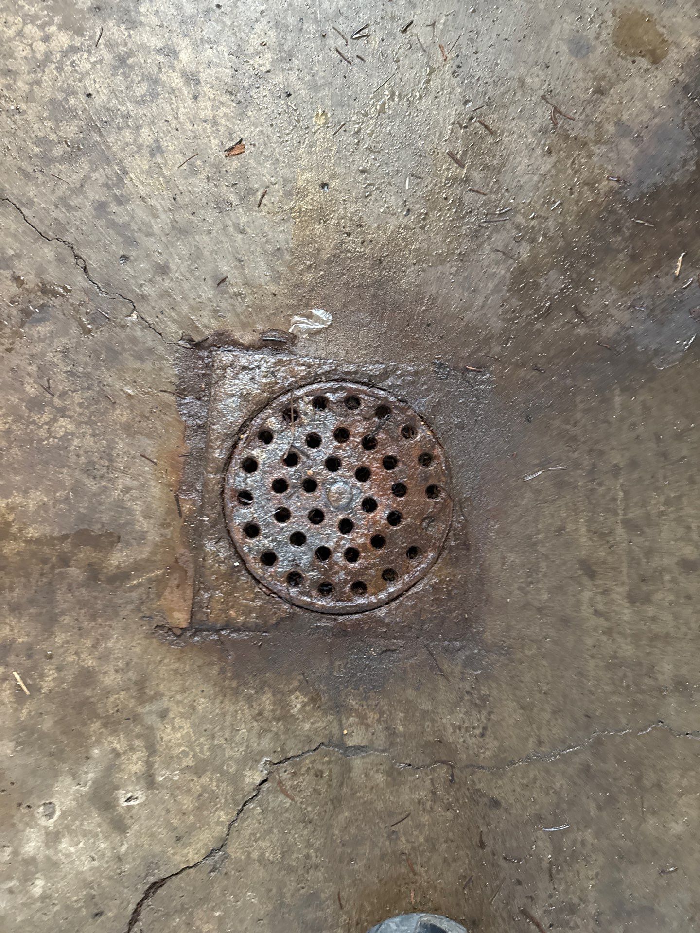 Basement Project in Bradford Woods by Floors in a Day, Inc