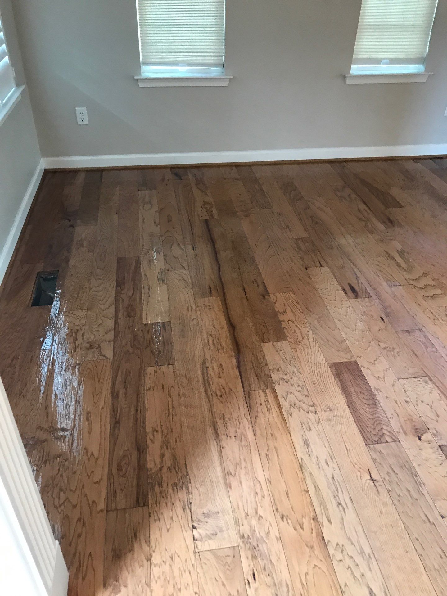 Hardwood Renewal by Monster Clean