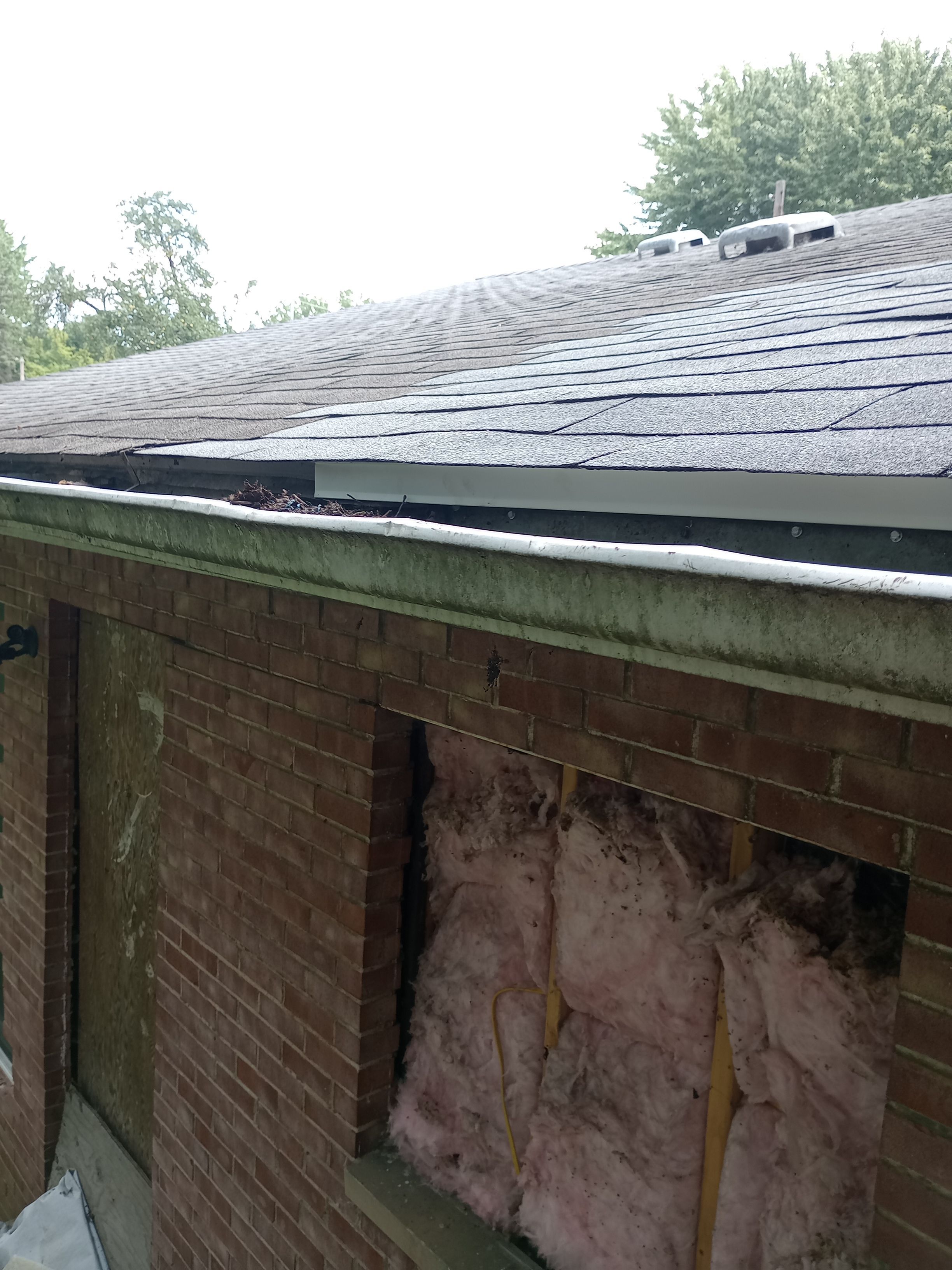 Donald Slomsky by Silver Leaf Contracting 