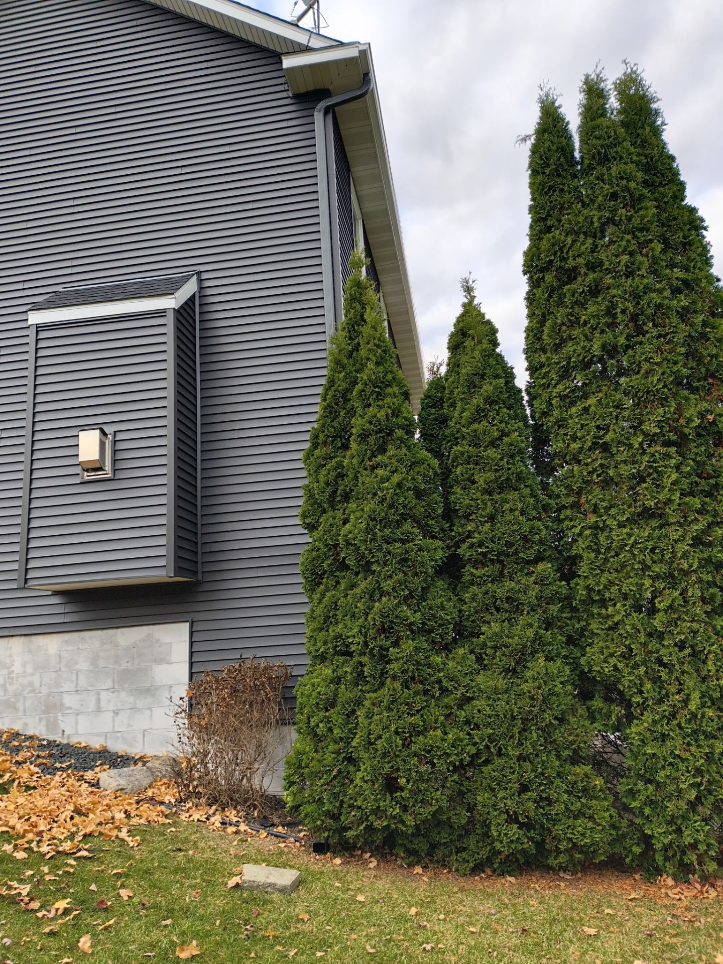 5-Inch White Gutters  – Delano, MN by Next Level Seamless Gutters / Exteriors Inc.