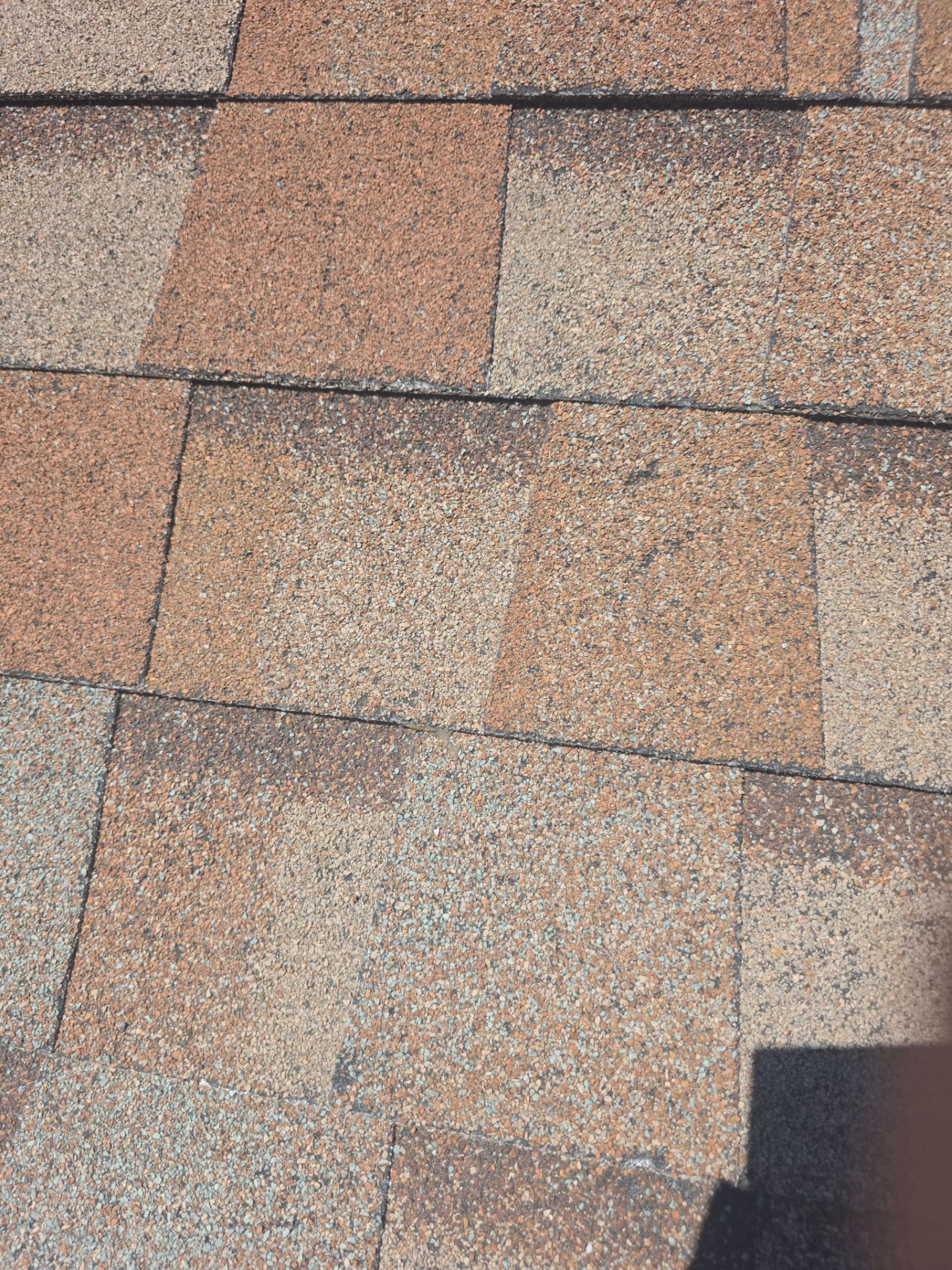 Roof Rejuvenation using Roof Maxx Treatment by Roof Maxx of Folsom