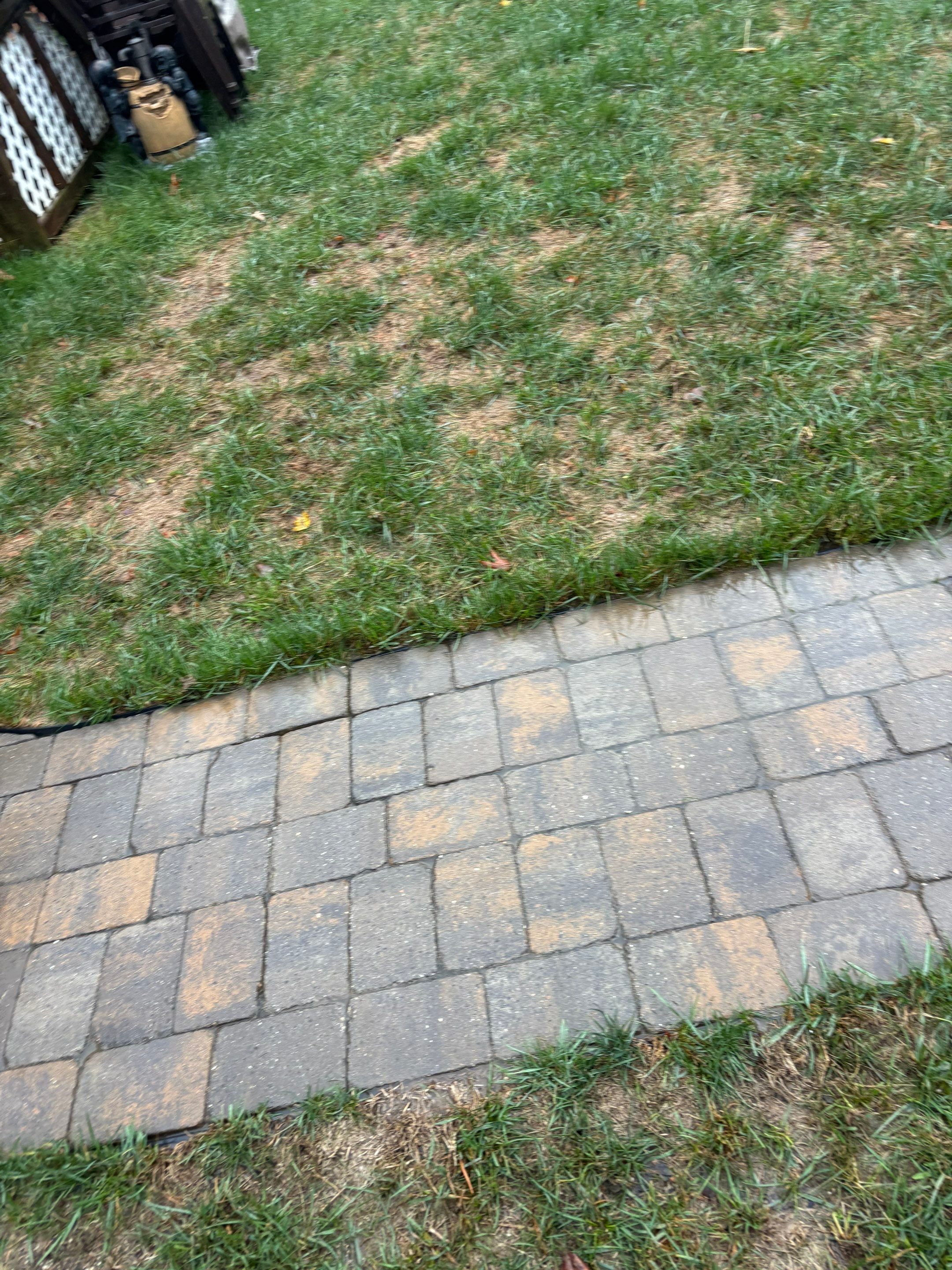 Pavers using Concrete Sealant by DuraSeal