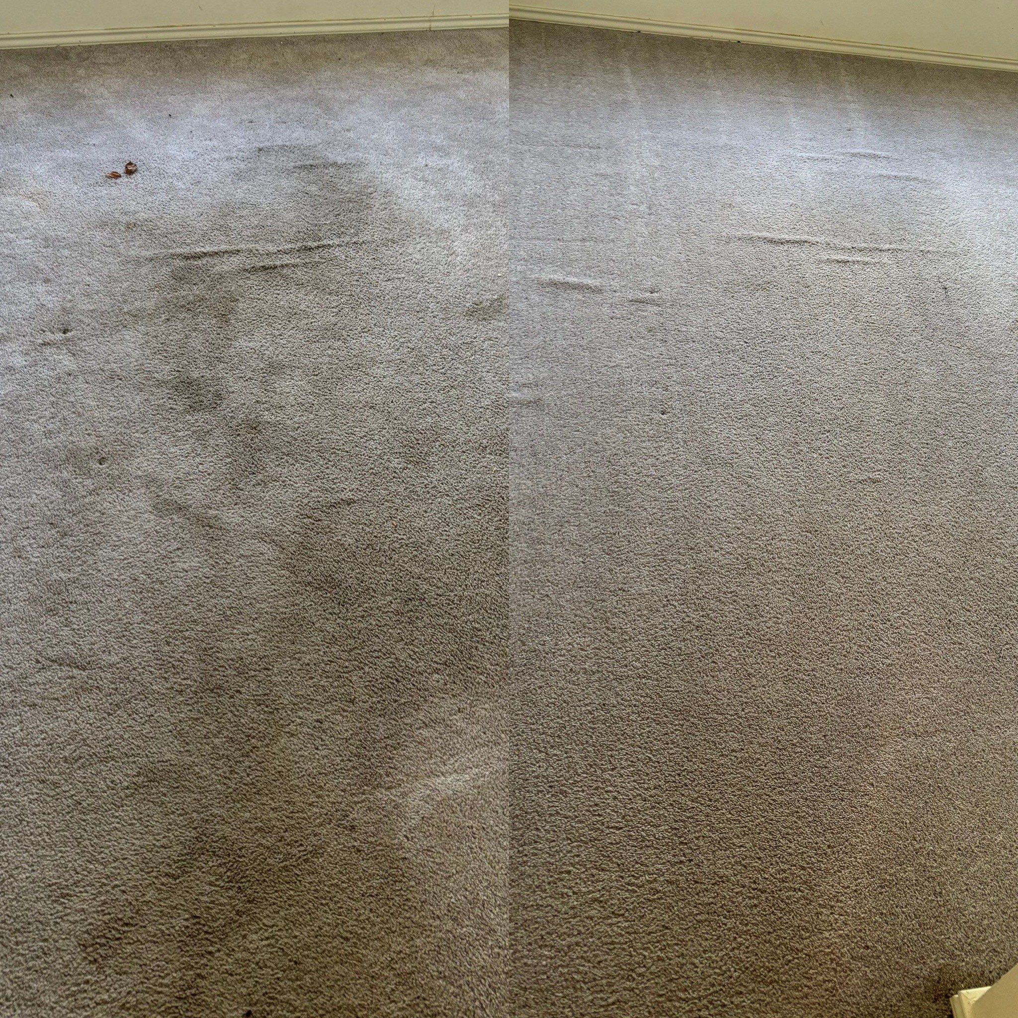 the photo shows a carpet being deep cleaned with visible stains removed and a fresh appearance restored to the surface