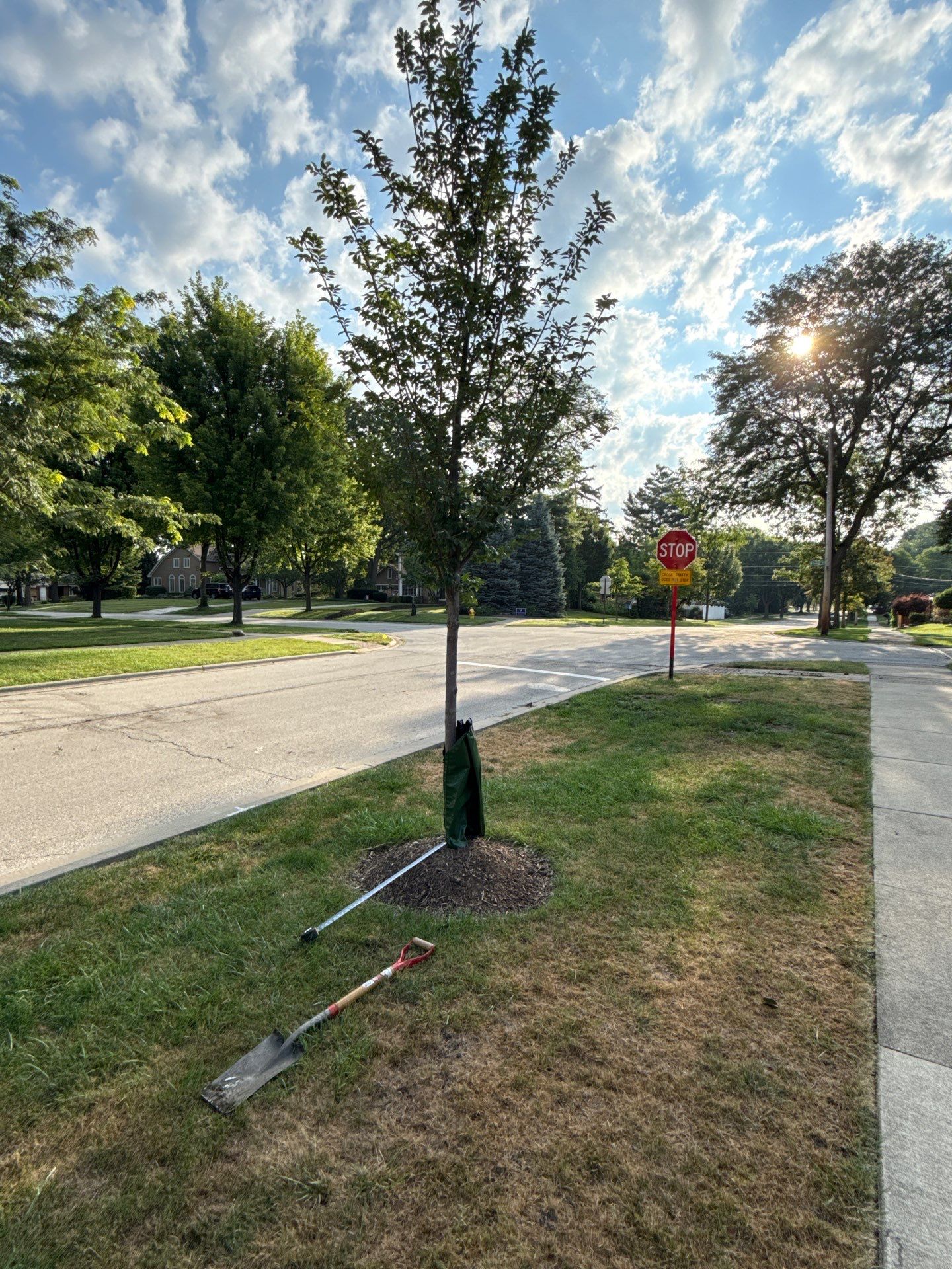 Chris S. - Mount Prospect, IL by A&N
