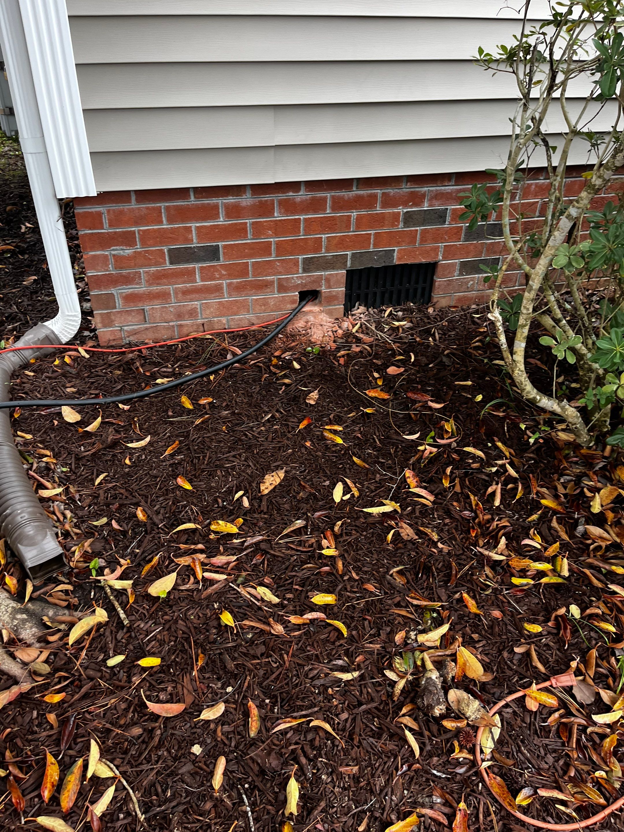 Impact Choice Encapsulation with French Drain and Crawlspace Doors by Impact Crawlspace