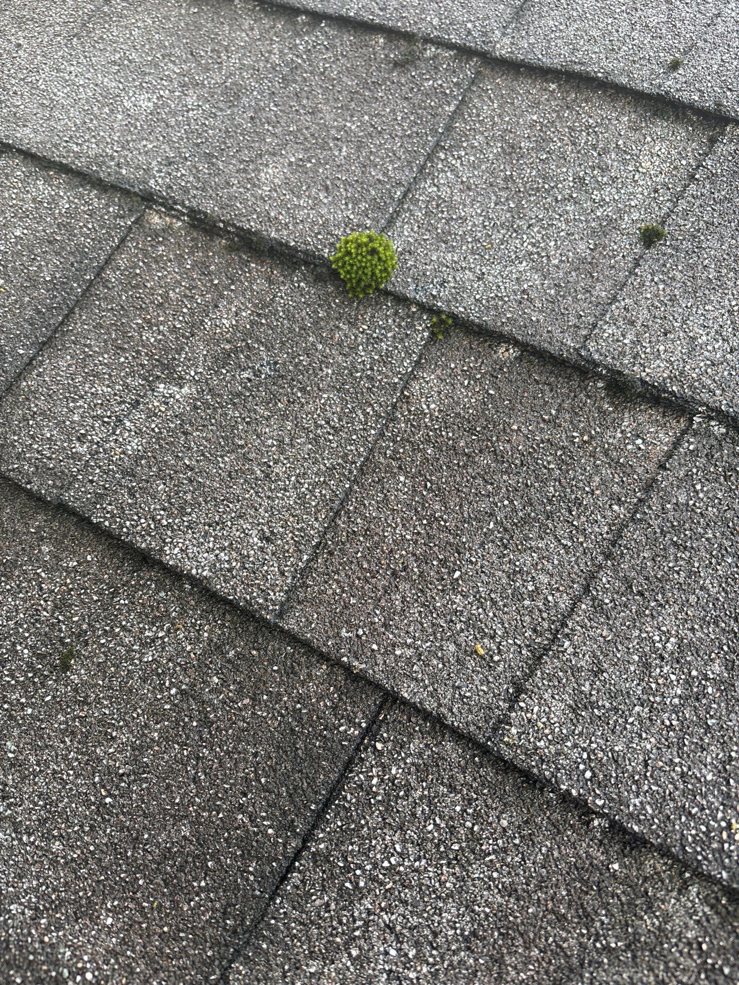 Project by Roof Maxx of Midlothian by Roof Maxx of Midlothian