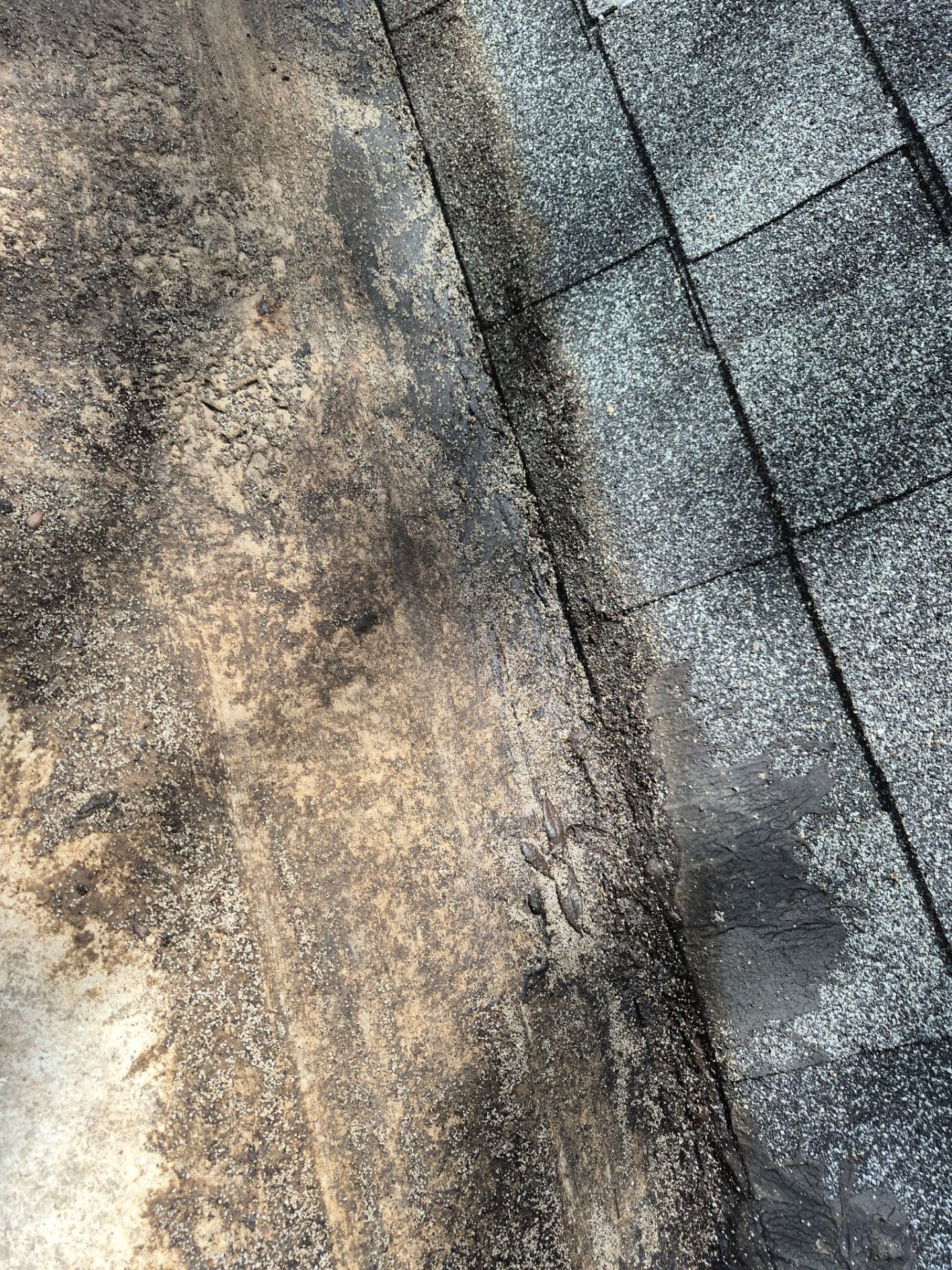 Project in Pinellas Park 33781 by Mitchell Roofing Company LLC
