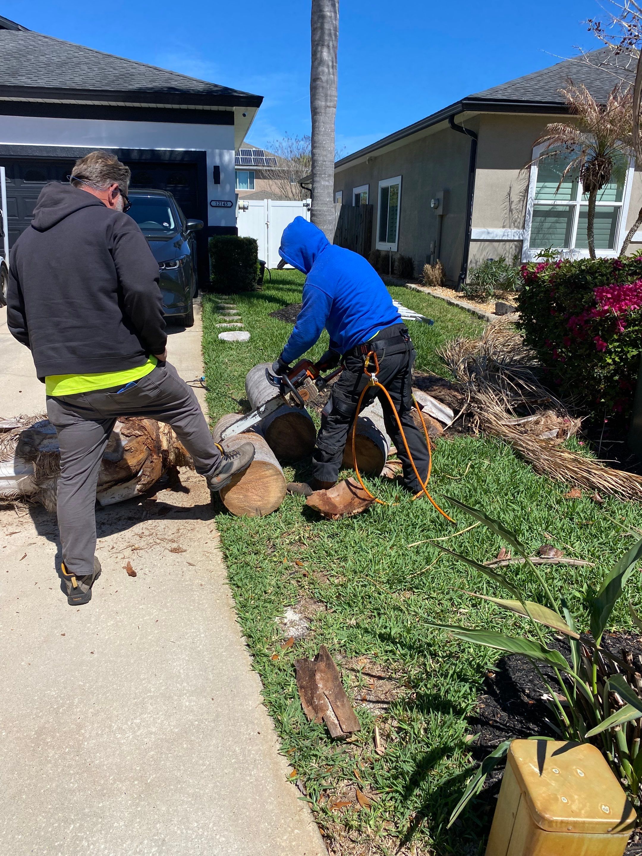 Residential | Tree Service by ProGreen Services