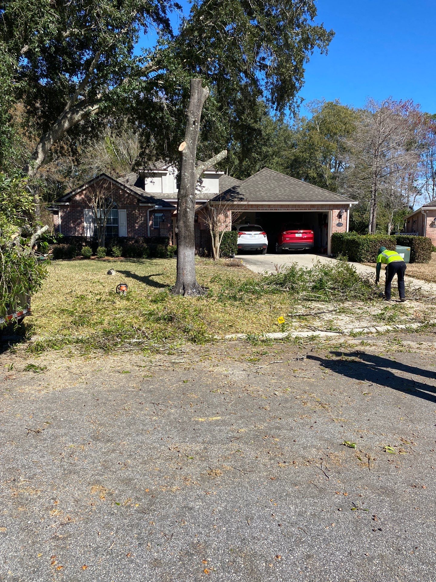 Residential | Tree Removal by ProGreen Services