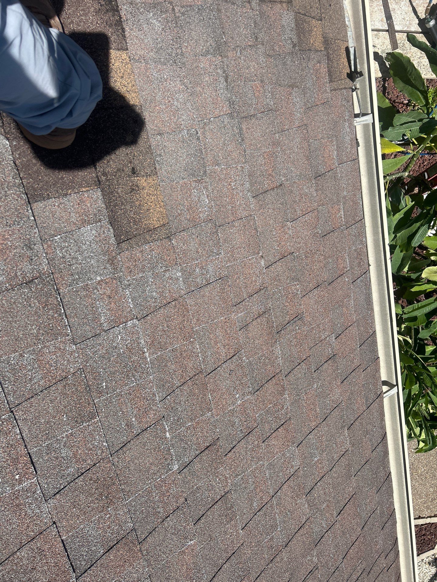 Stucco Problems in Paradise  by Bayfront Roofing and Construction