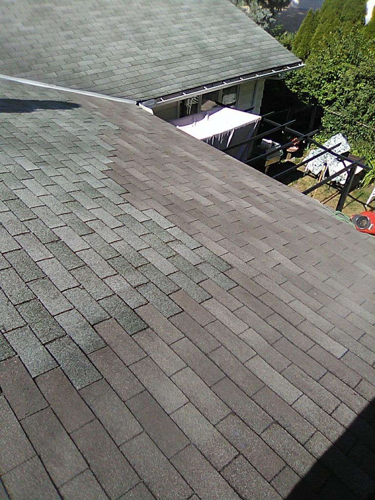 Dennerryll Gray by Silver Leaf Contracting 